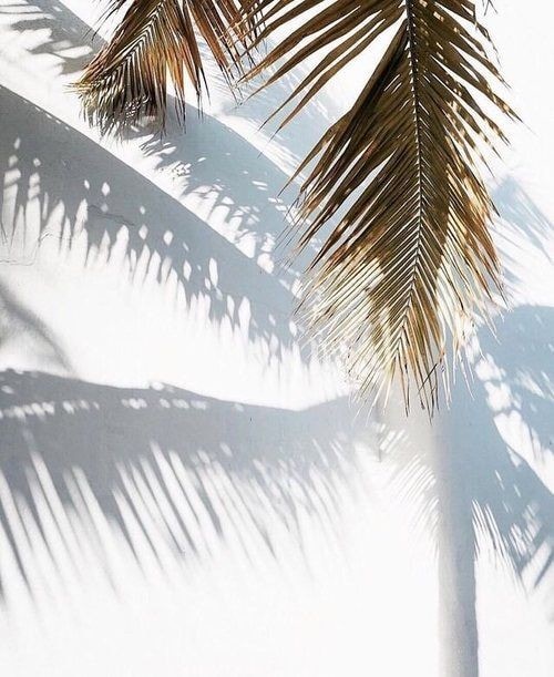 Go to Anna Niko's profile