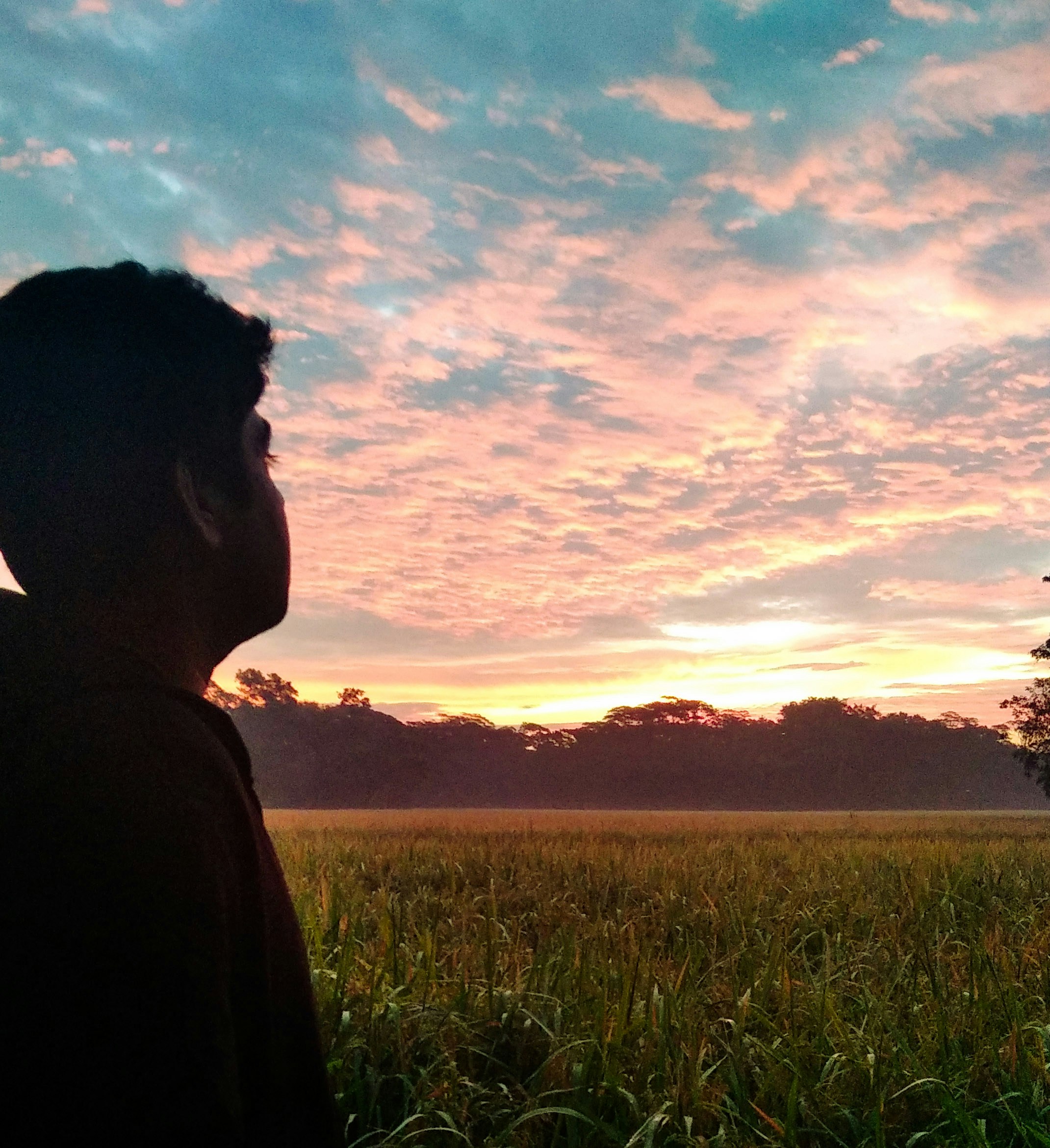 Go to Sifat Niloy's profile