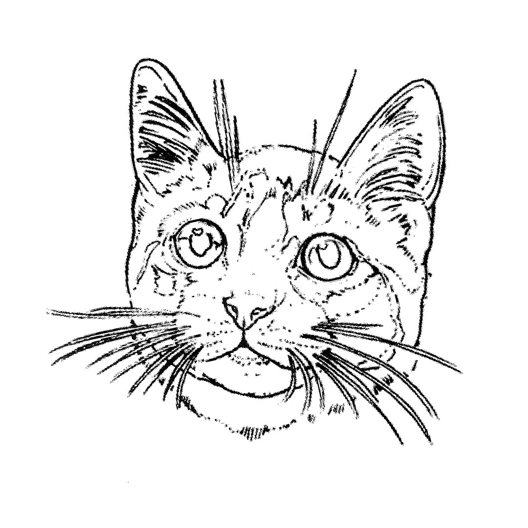 Go to Nana's profile