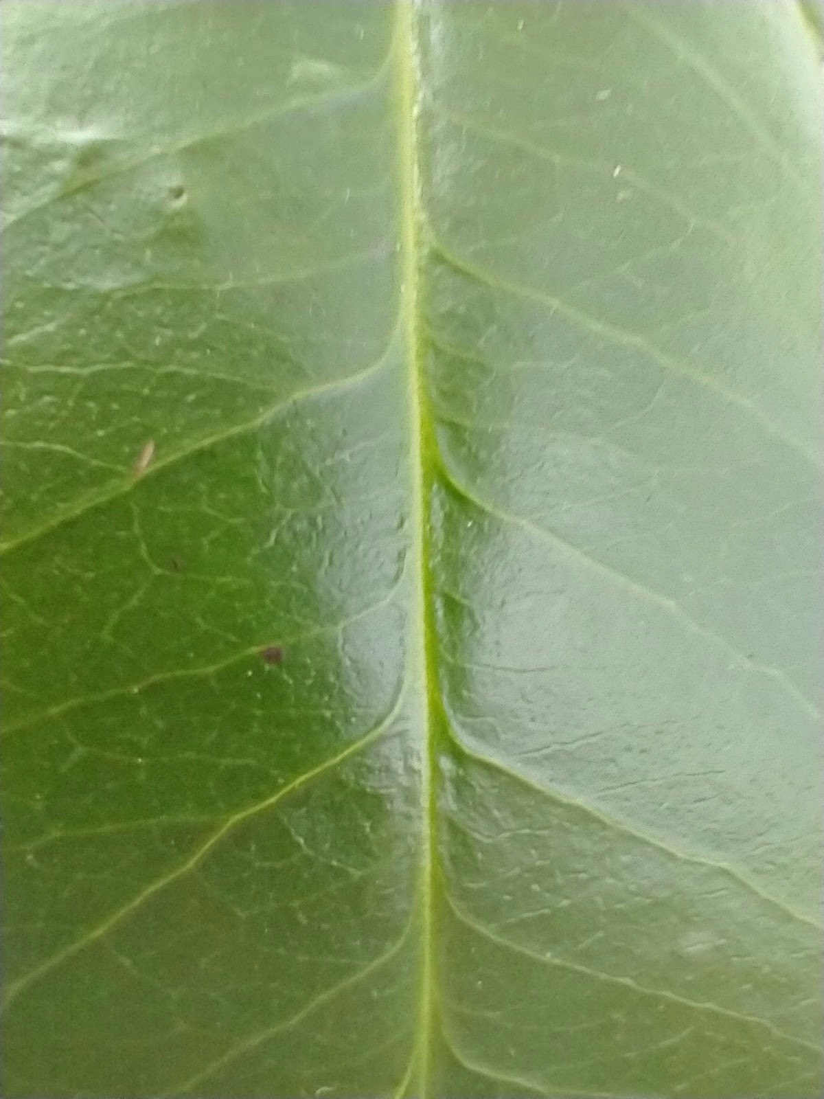 Go to Lucy W's profile