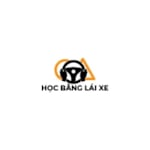 Avatar of user học lái xe bằng c