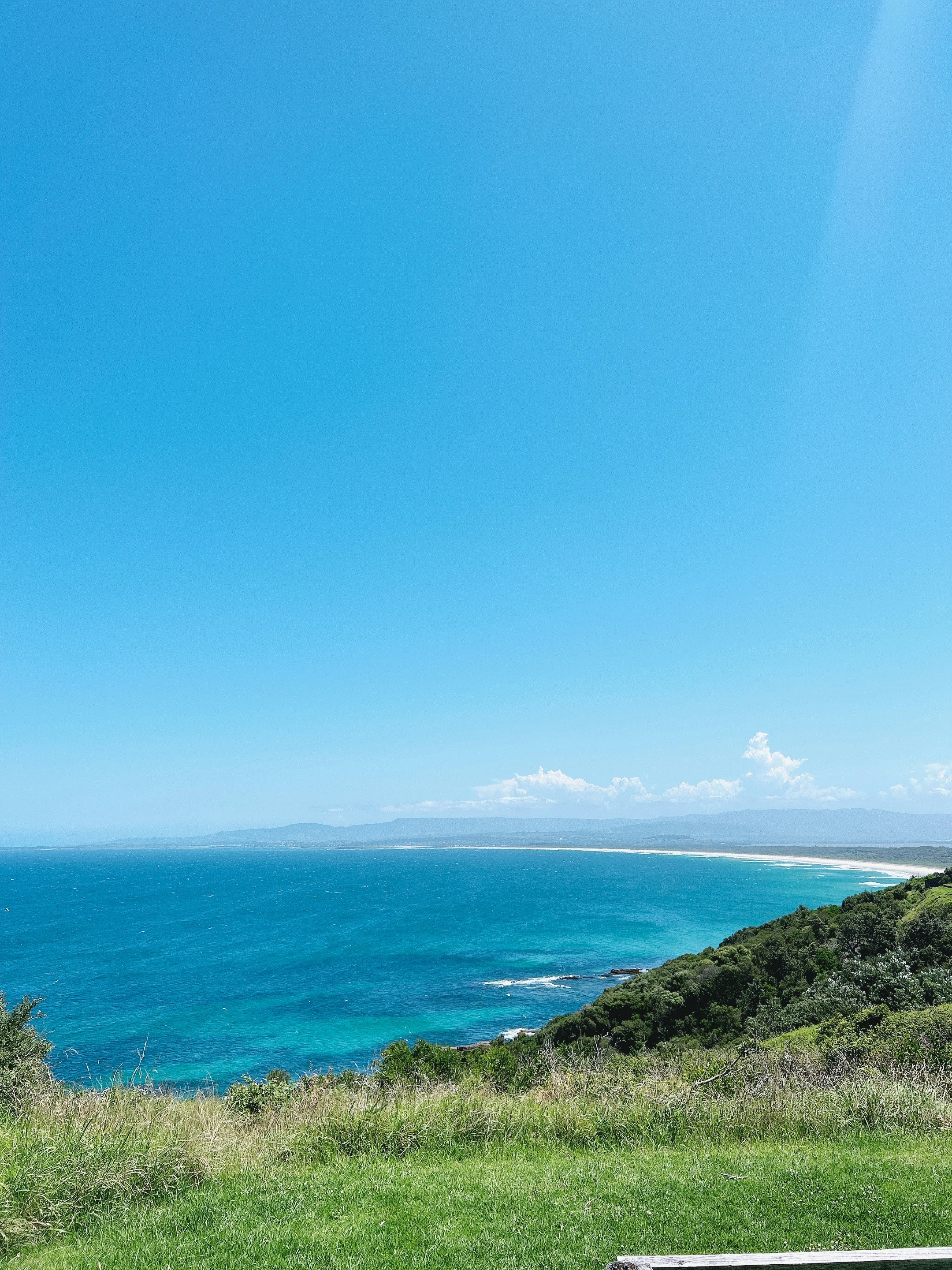 Go to Shirley Wang's profile