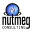 Avatar of user Nutmeg Consulting LLC