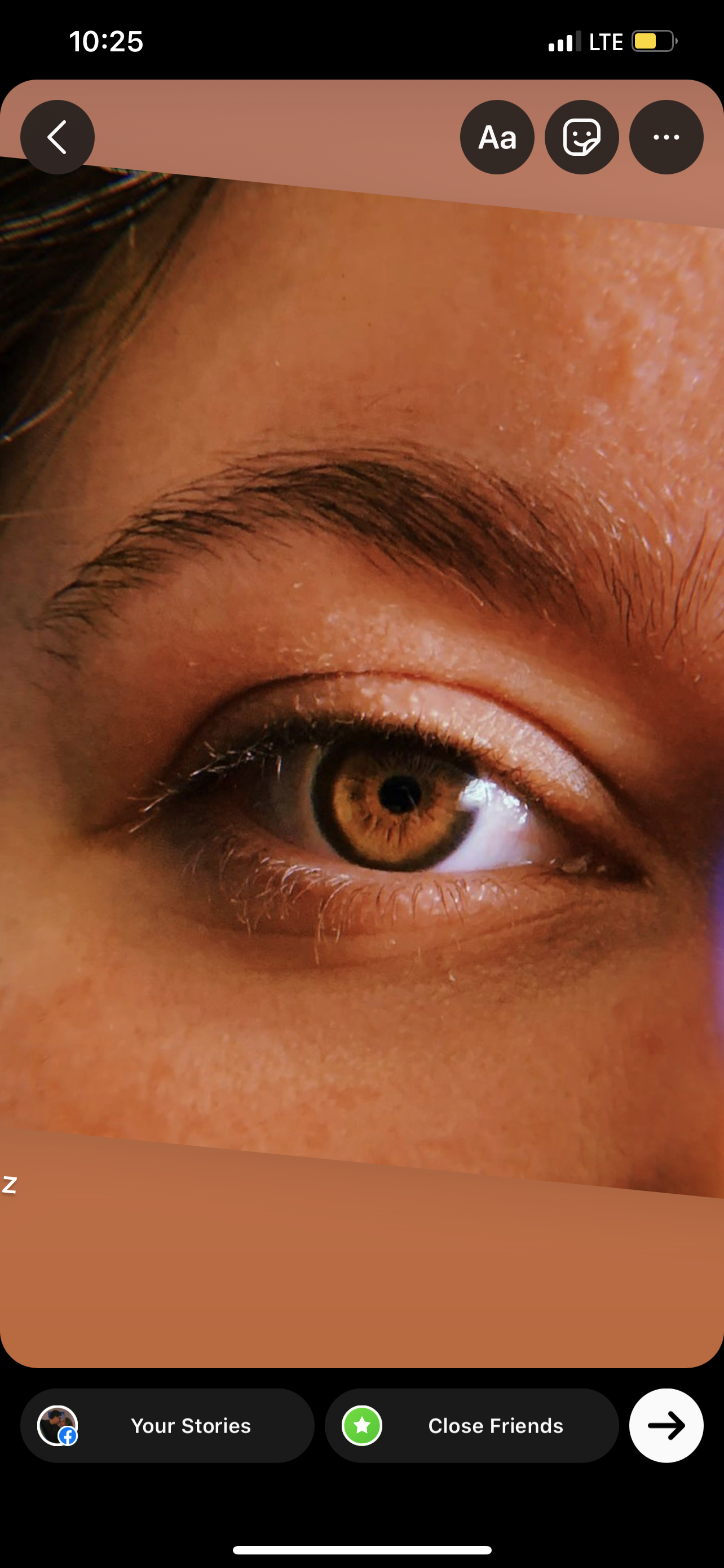 Go to Juliana Araujo the artist's profile