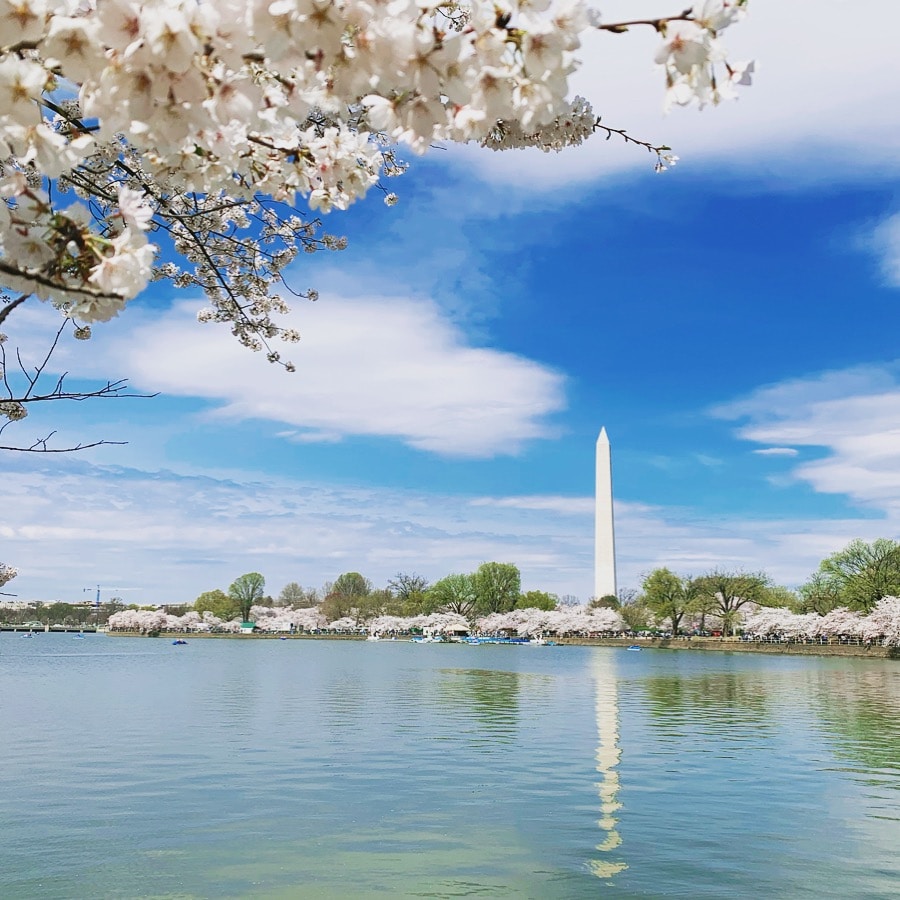 Go to Nanbo Wang's profile