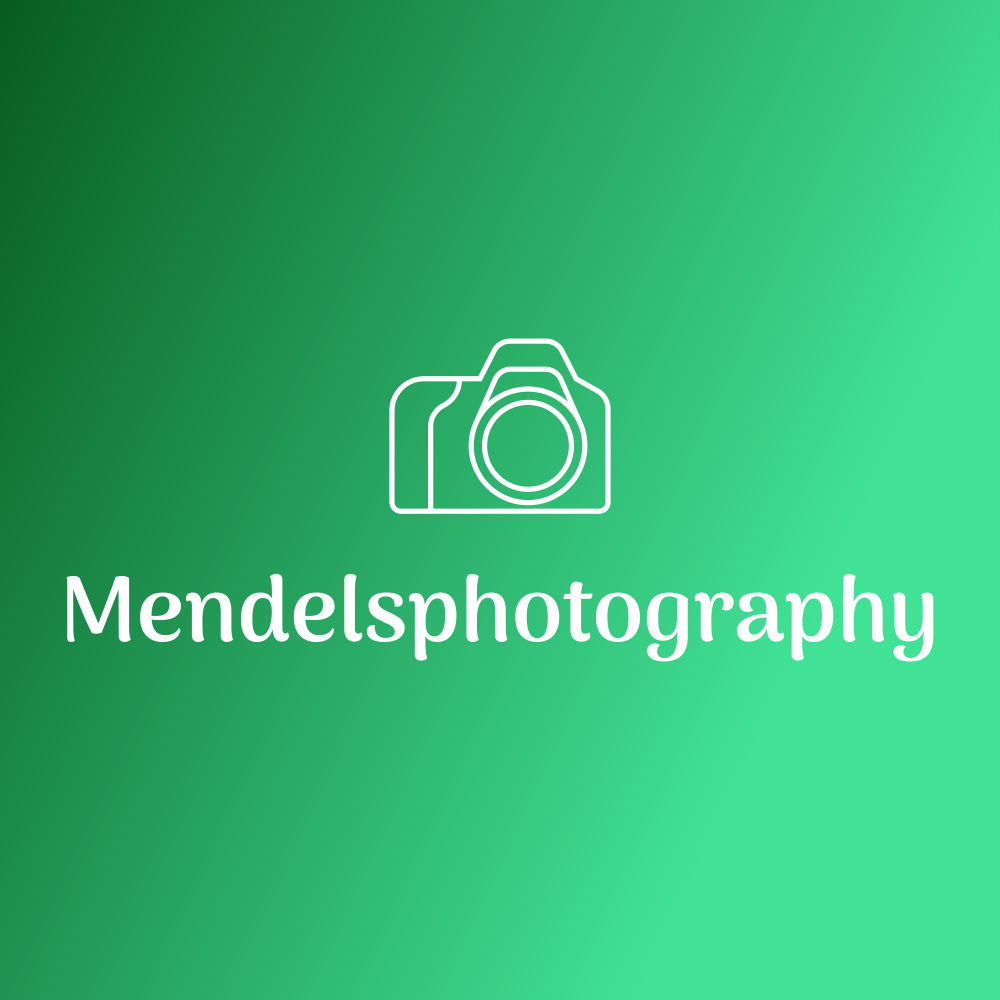 Go to mendels photography's profile