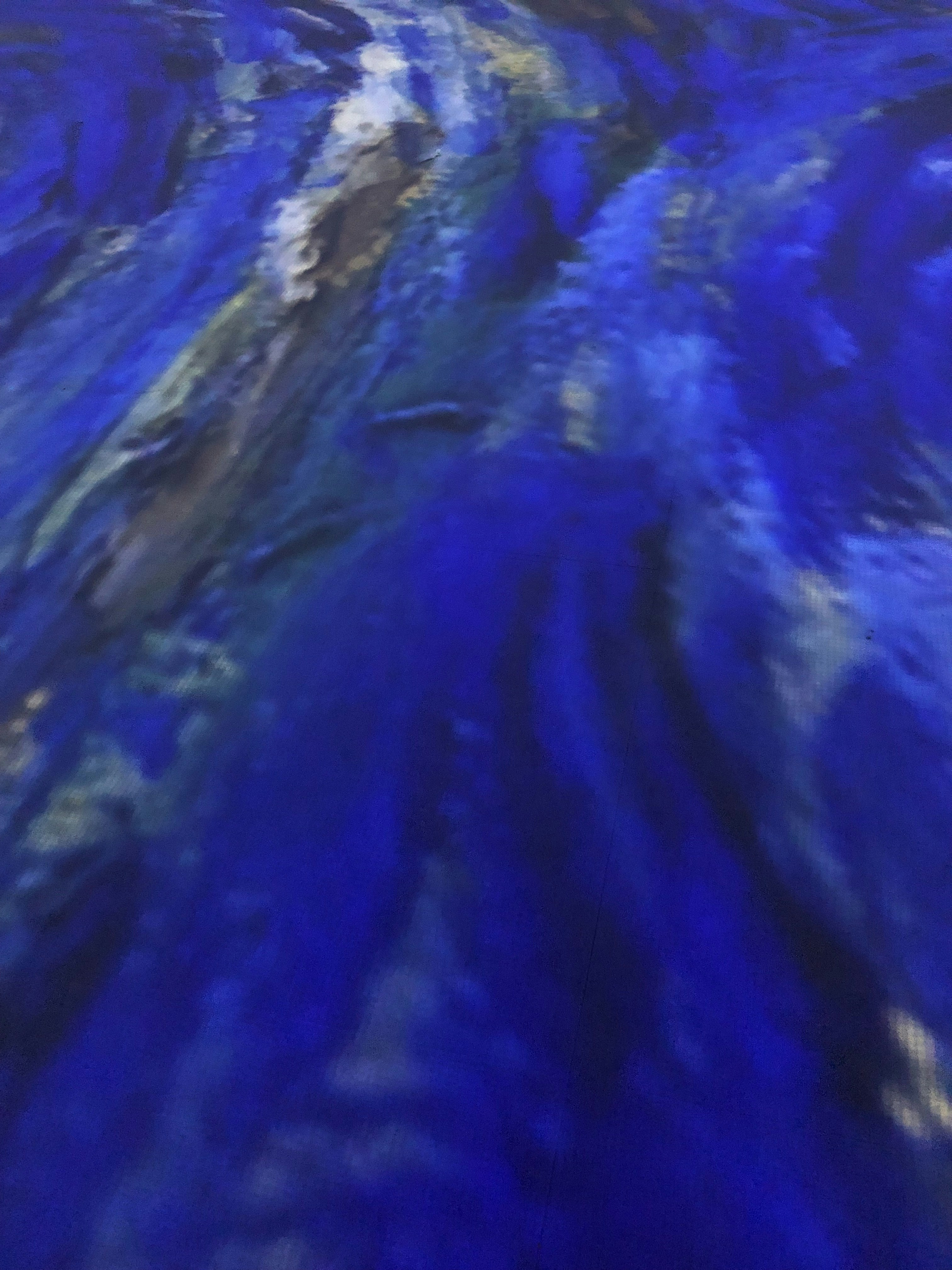 Avatar of user Michael