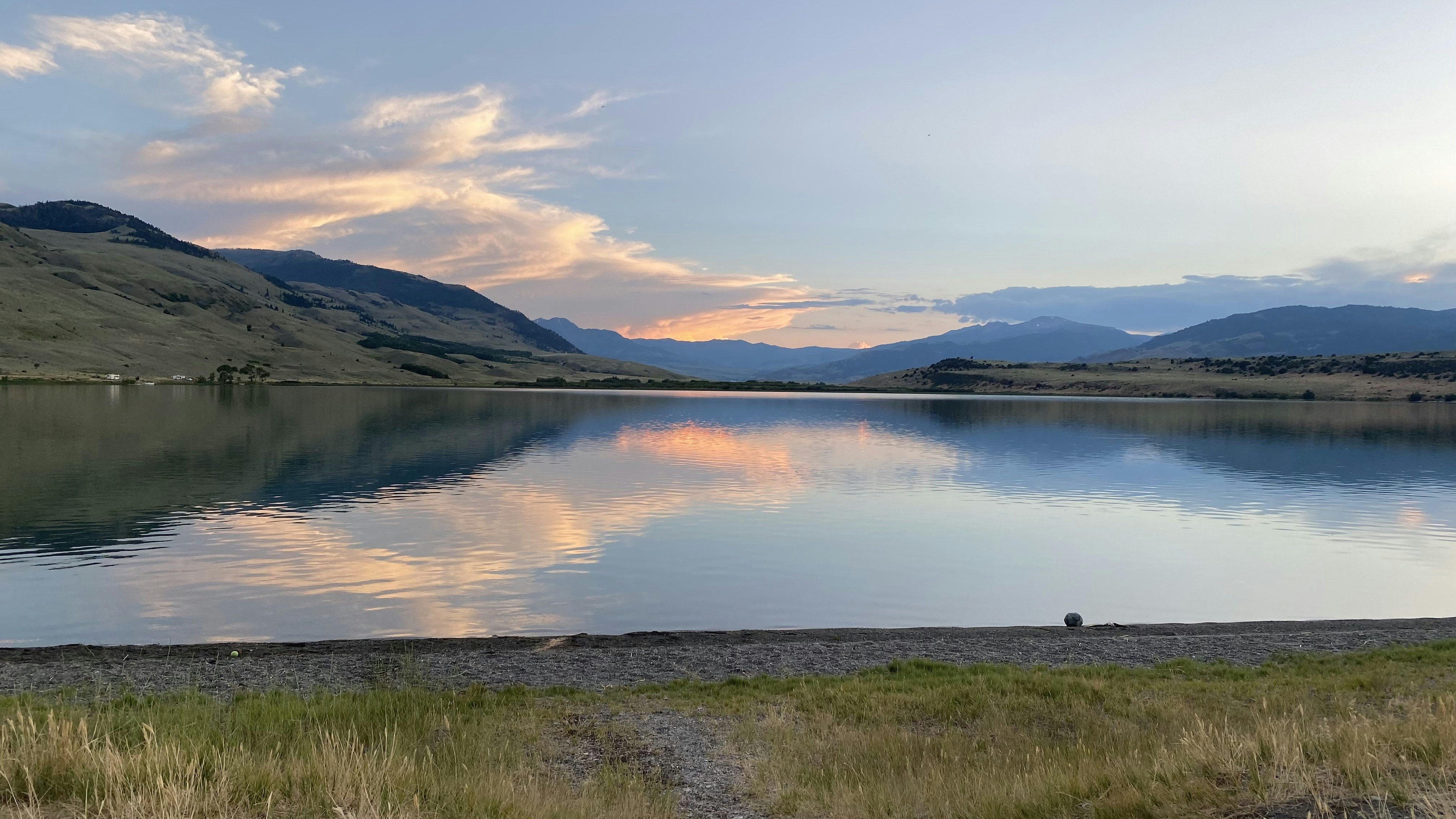 Go to Mikki Seifu's profile