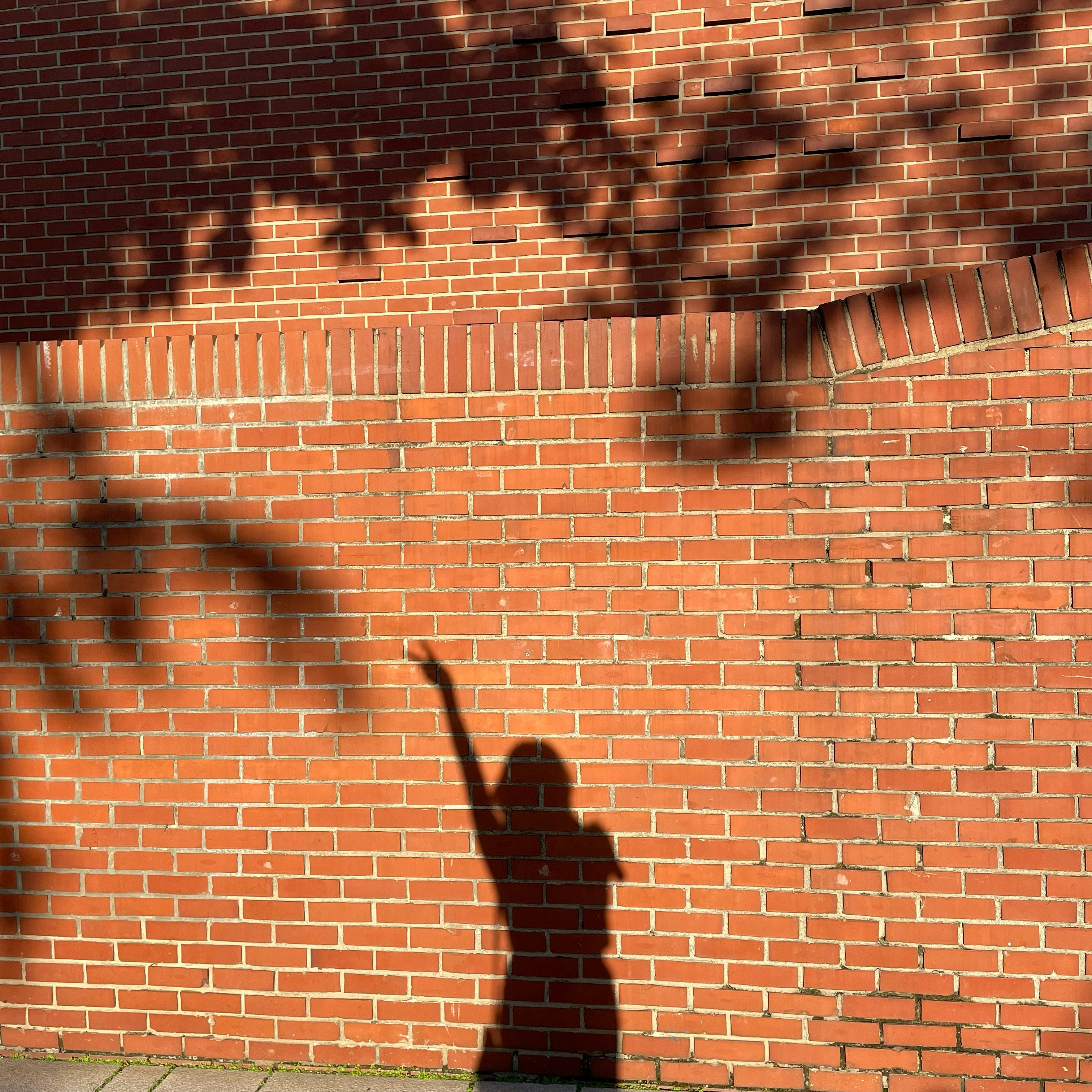 Go to Jimin Hong's profile