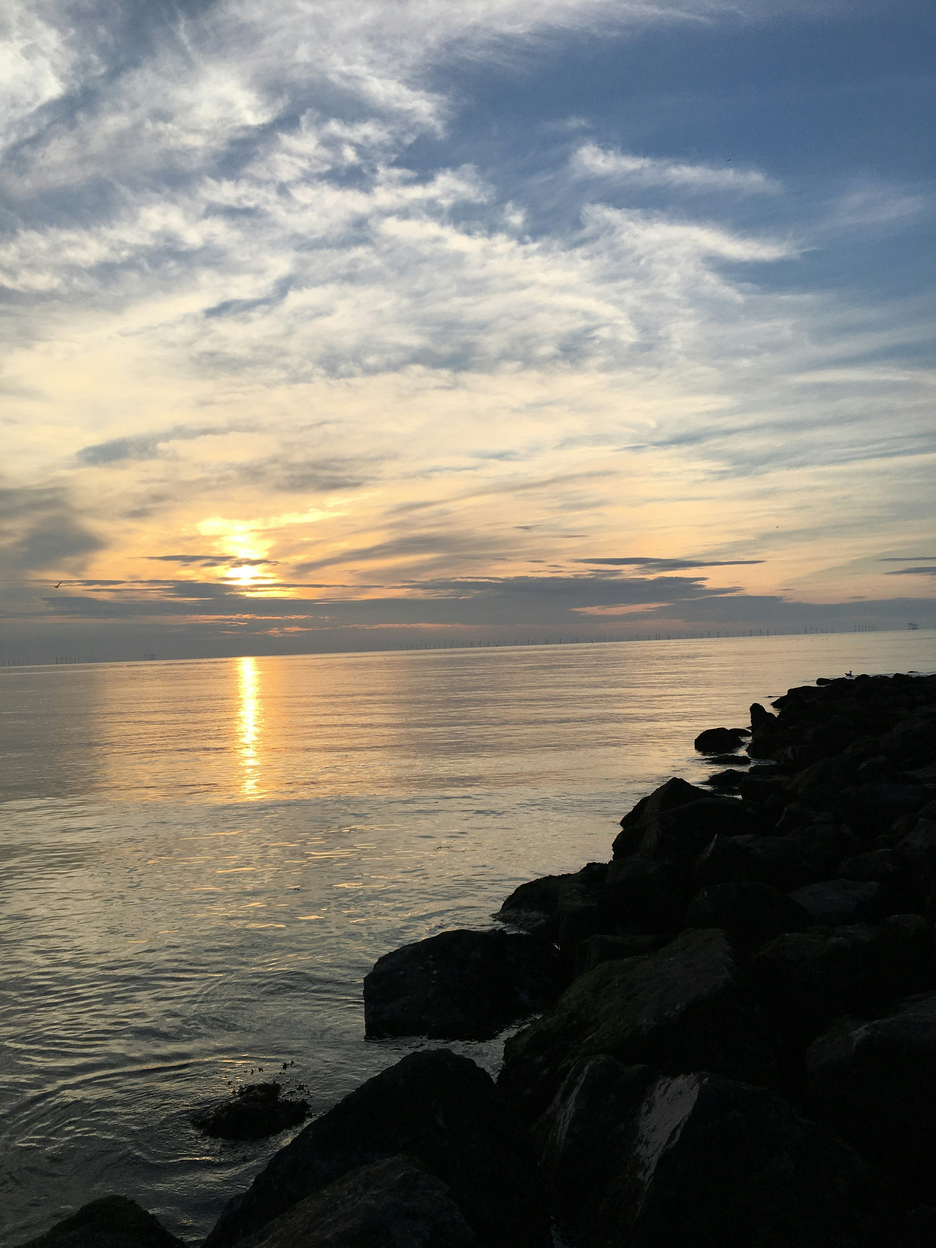 Go to Riana George's profile