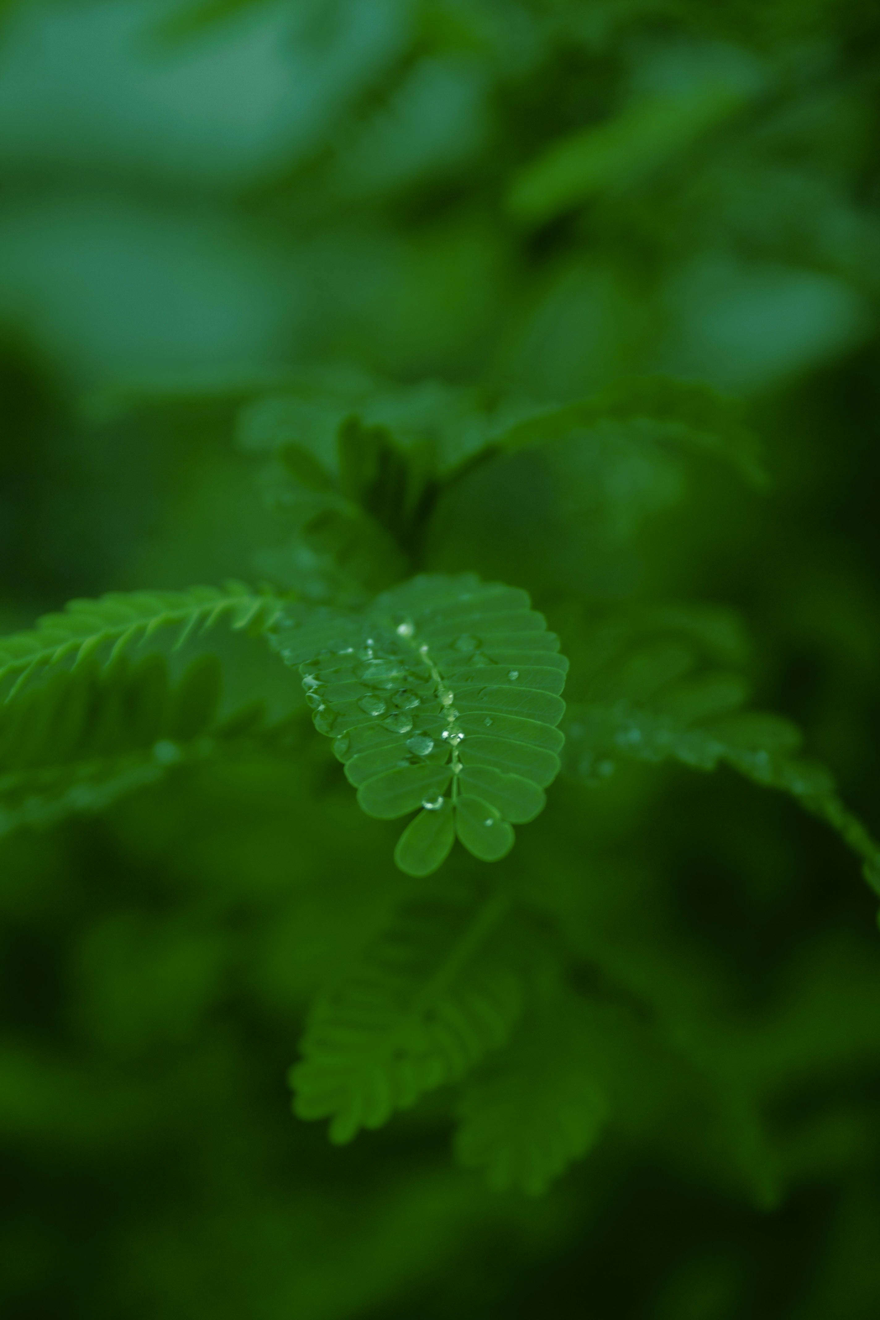 Go to sadi Ali's profile