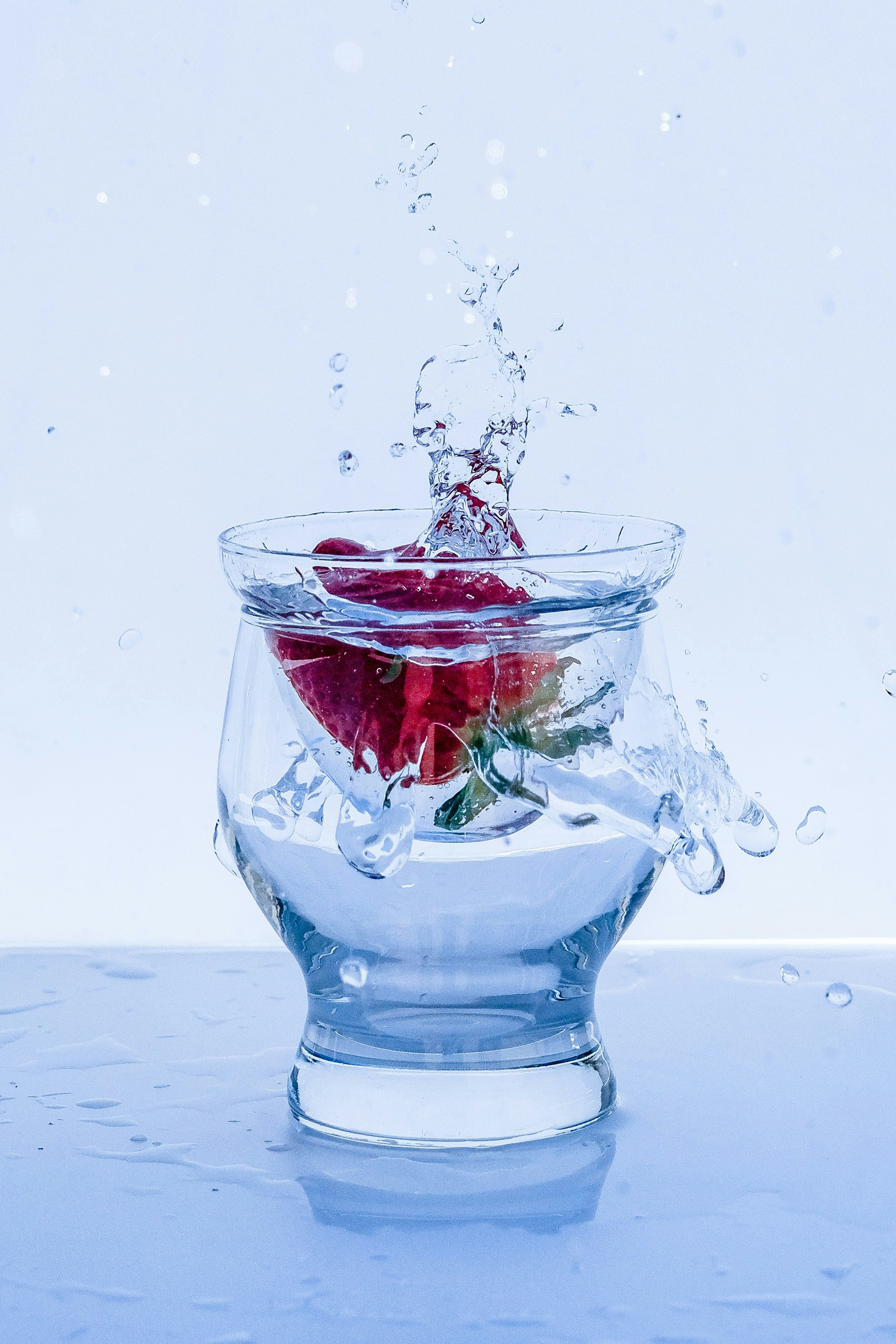 Unsplash profile picture for @oppose