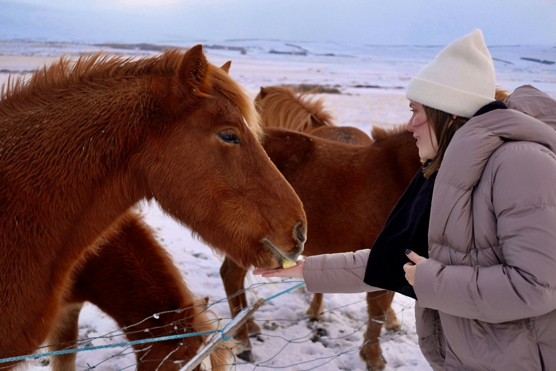 Ir para o perfil de Sasha Valle