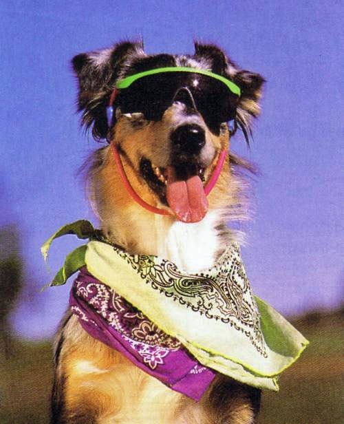 Go to David Behar's profile