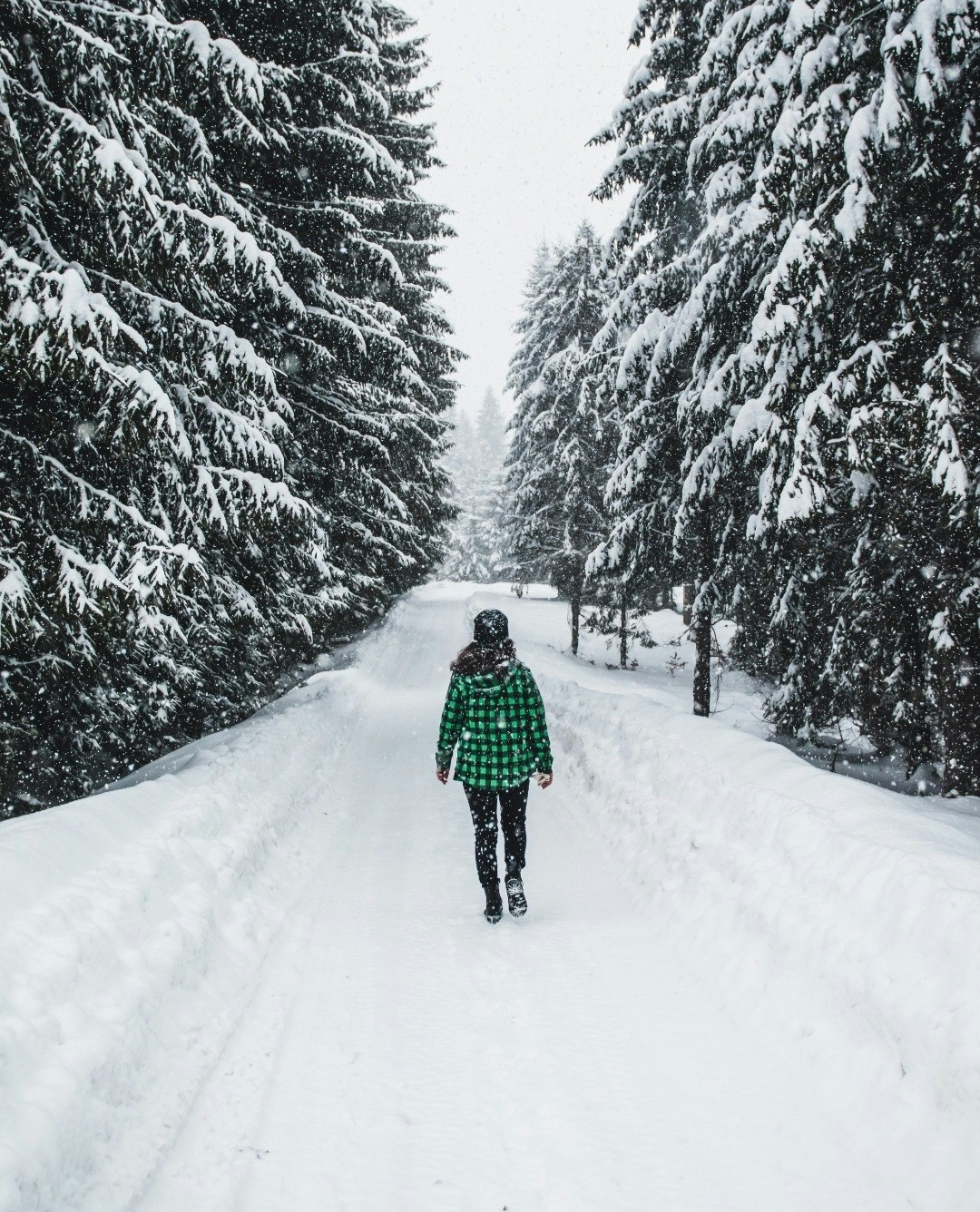 Go to Alexandra Uivarasan's profile