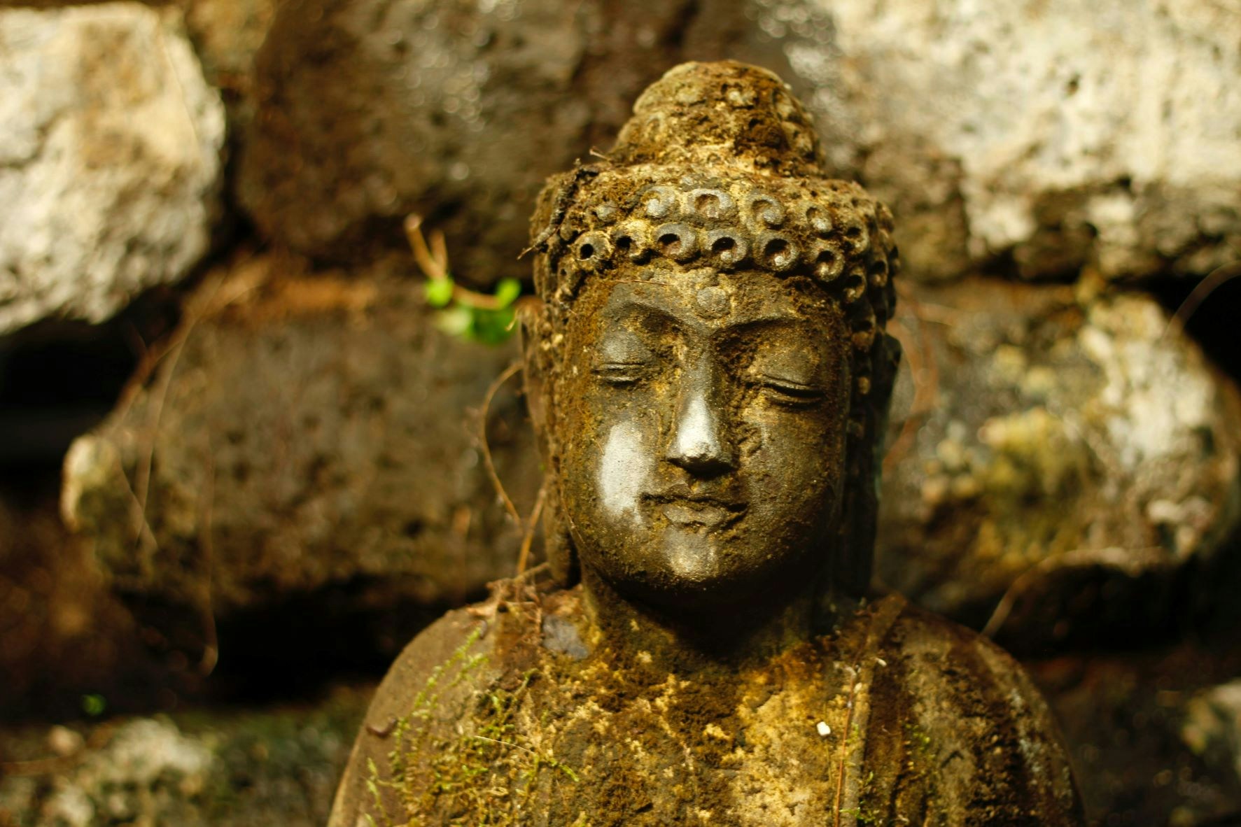 Ve al perfil de Ted Johnsson