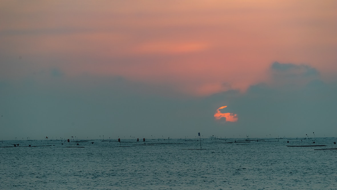 Go to Cheng Chieh Hsu's profile