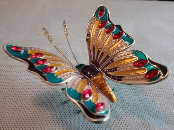 Go to Divina Clark's profile