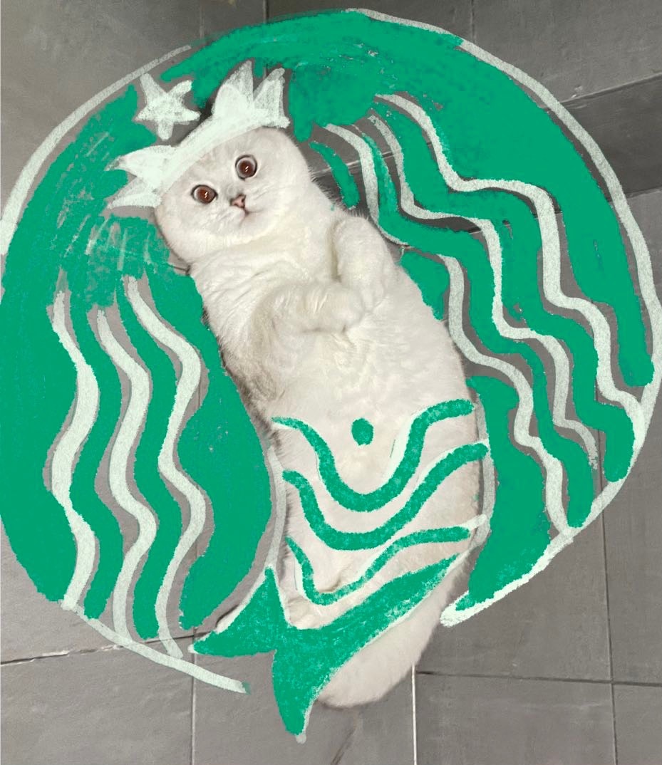 Go to Enzo Kin's profile