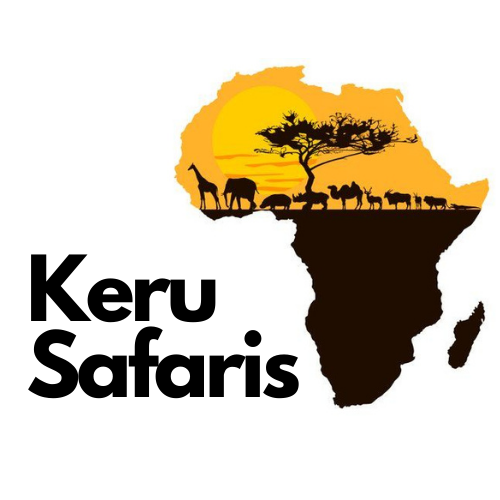 Go to Jerusha. G's profile