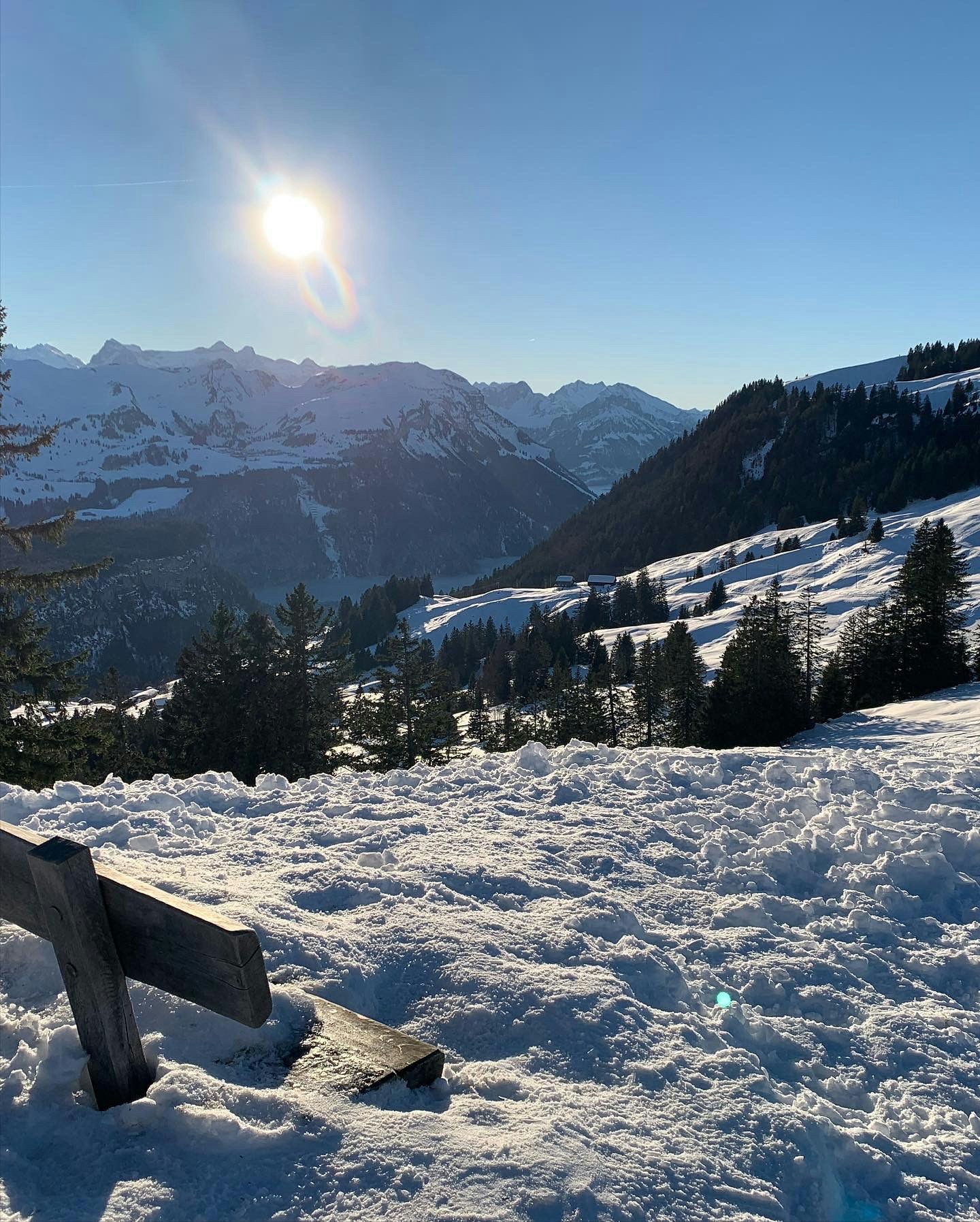 Zum Profil von Anita Leggett