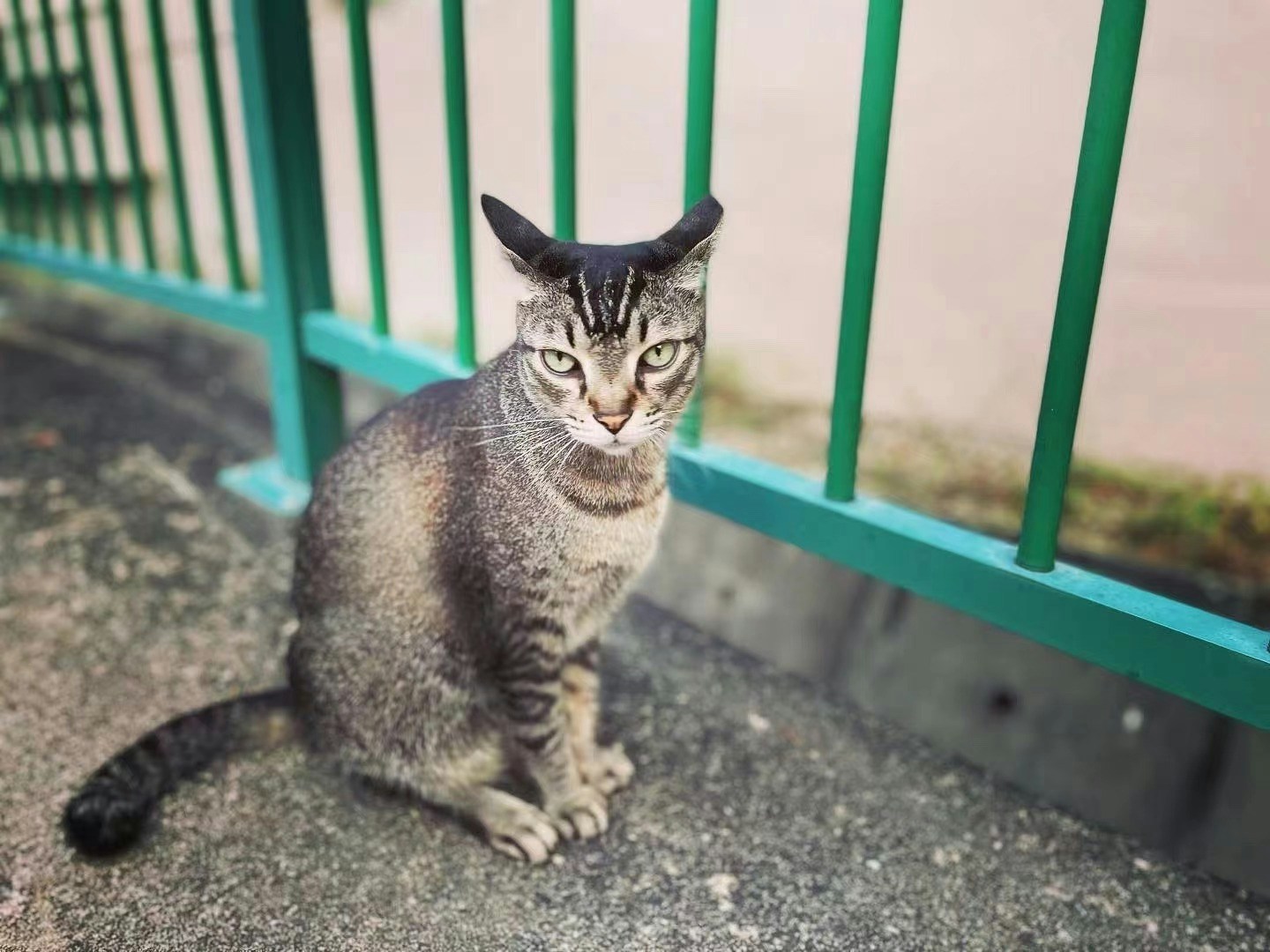 Go to Vienna's profile