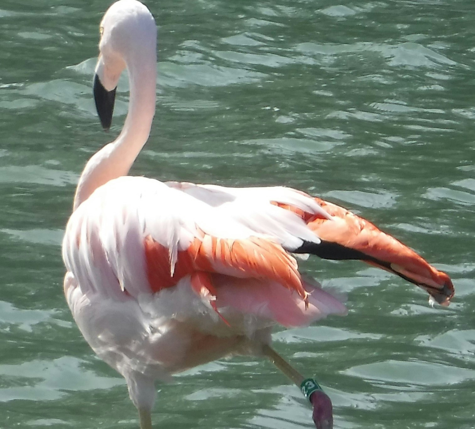 Go to srja's profile