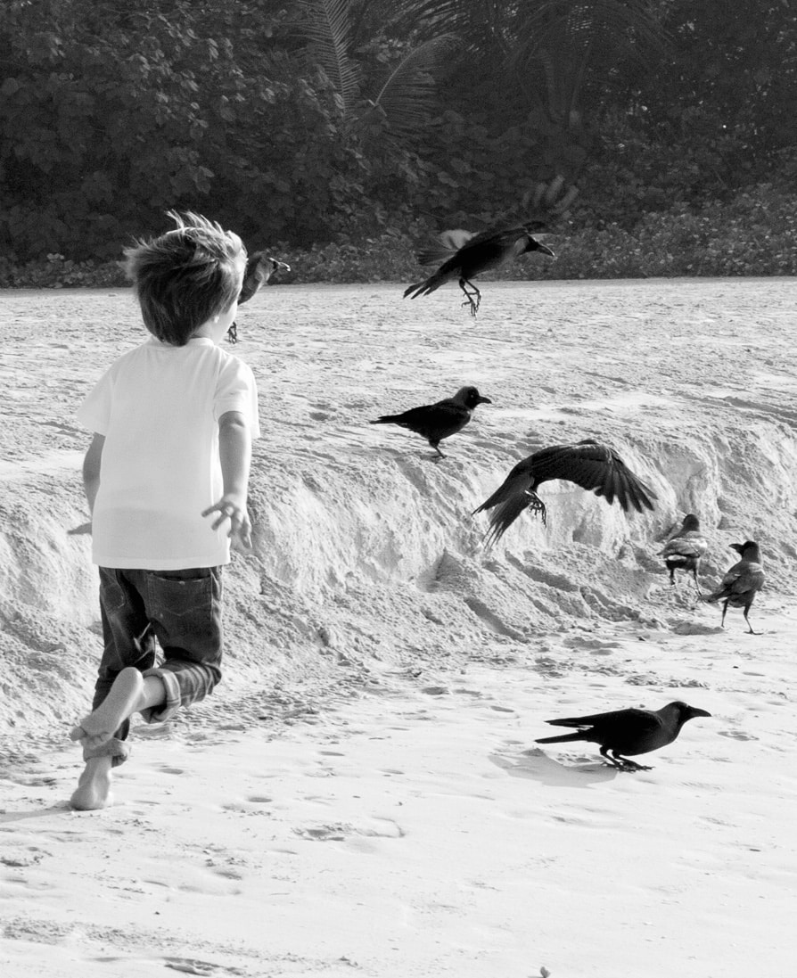 Go to Habib Beaini's profile