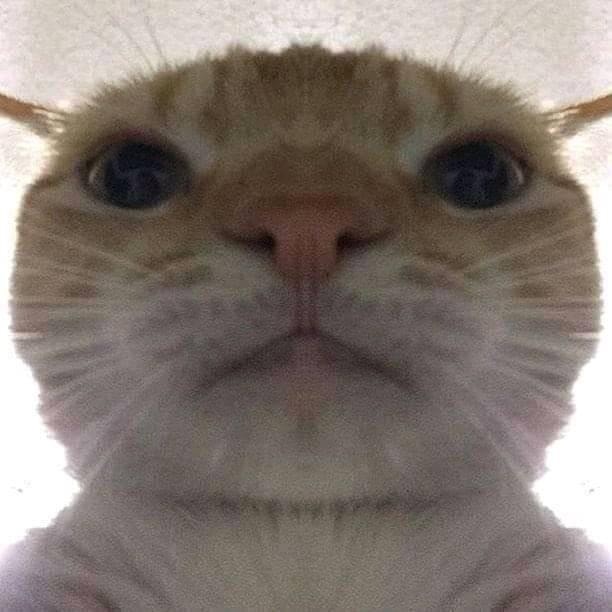 Go to novantio arywidyatama's profile