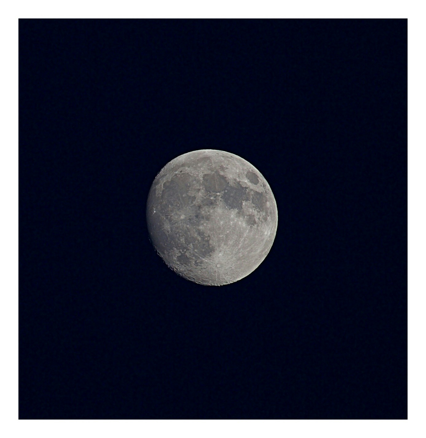 Go to Dory Coli's profile