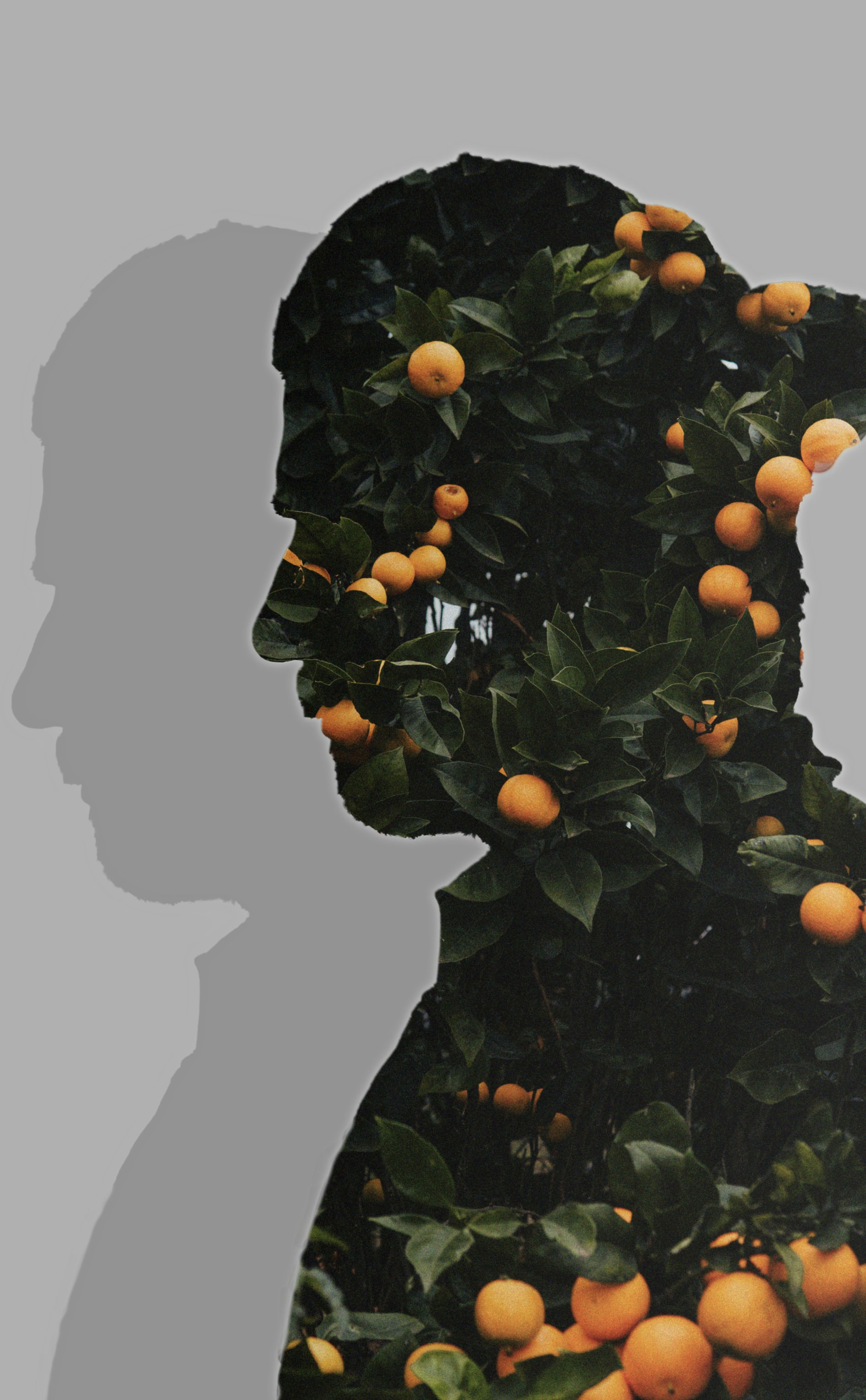 Go to Marco Di Baudo's profile