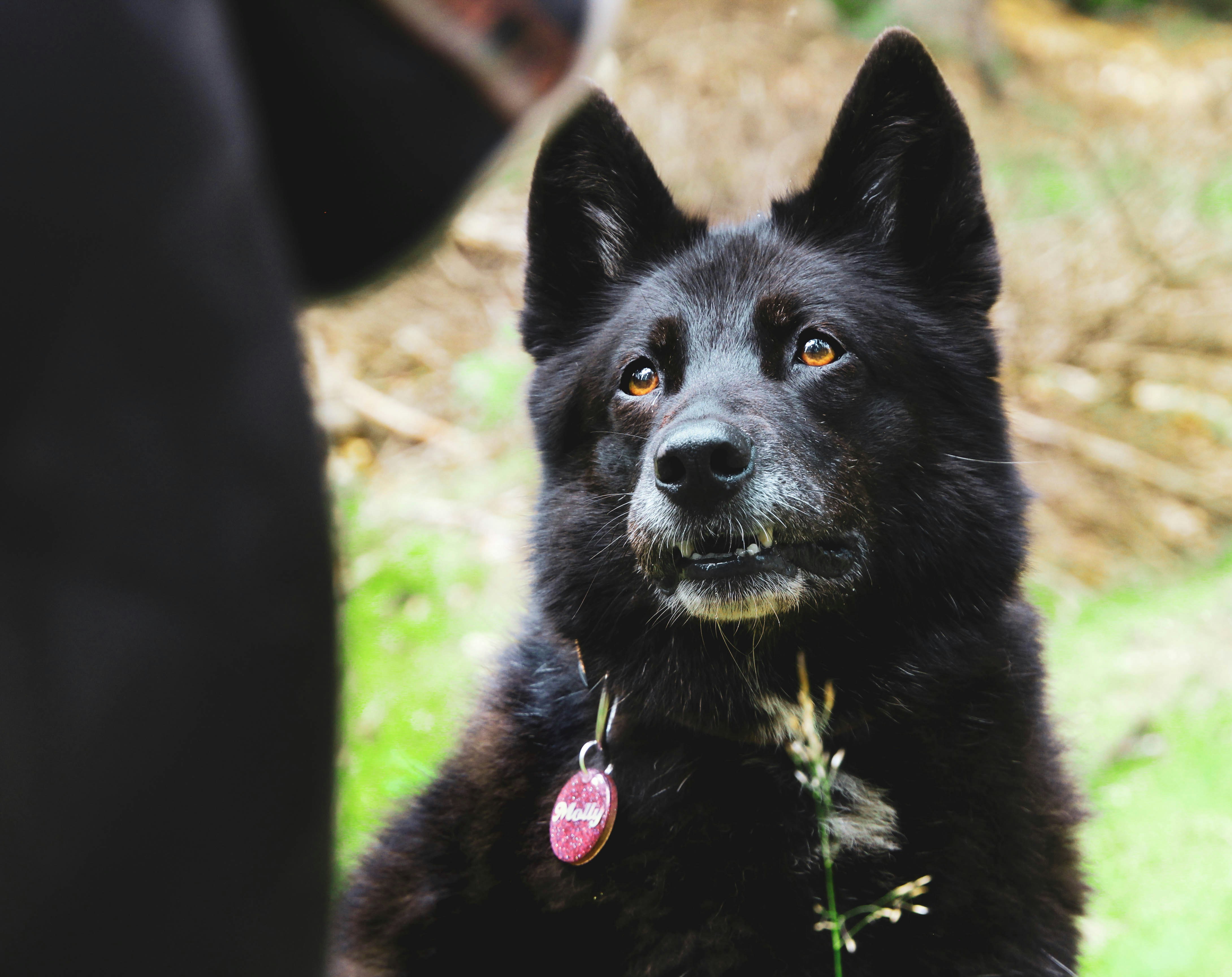 Go to Laura Olin's profile