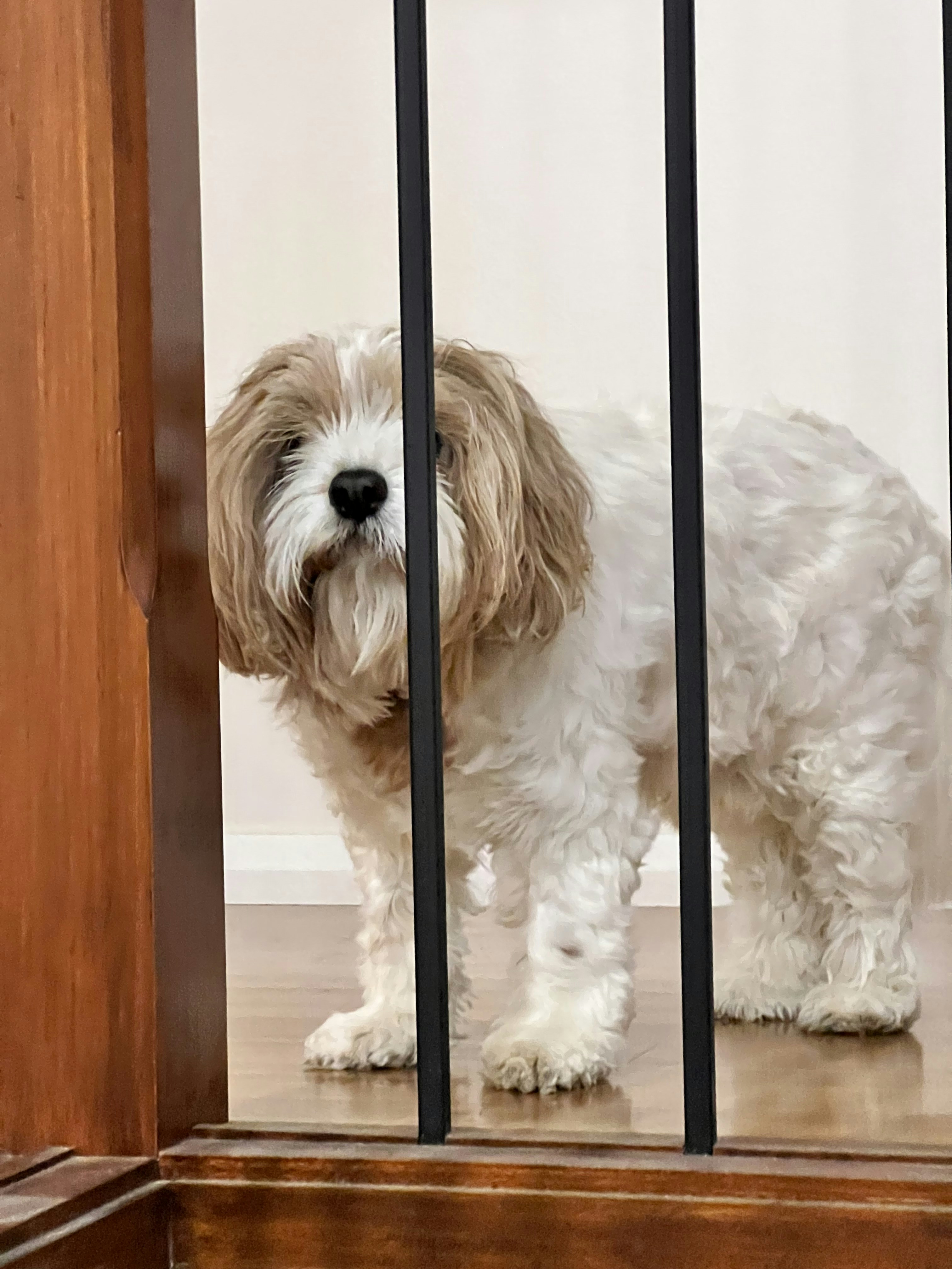 Go to Ajith Samaratunga's profile