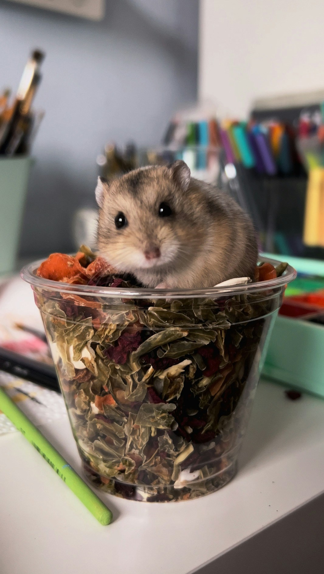 Go to Demi Lindy's profile