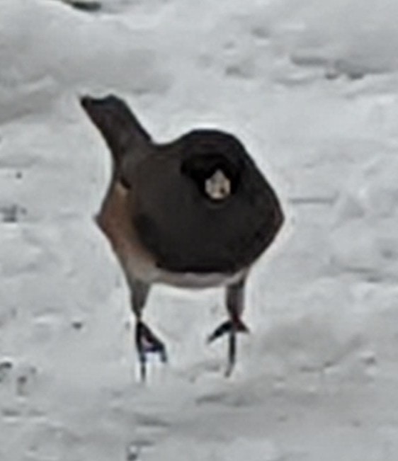 Go to Jaydn Scandora's profile