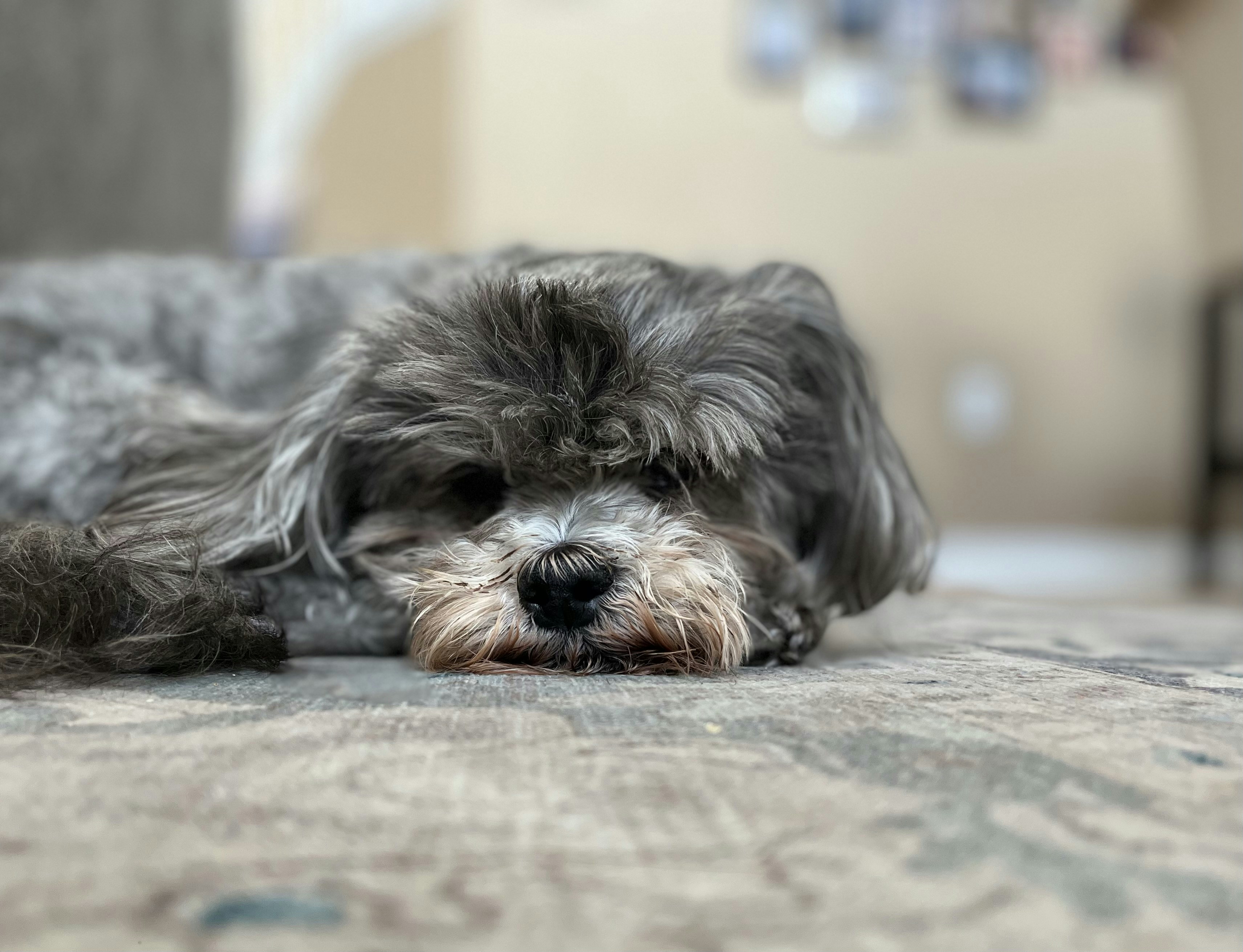 Zum Profil von Sky Gallian