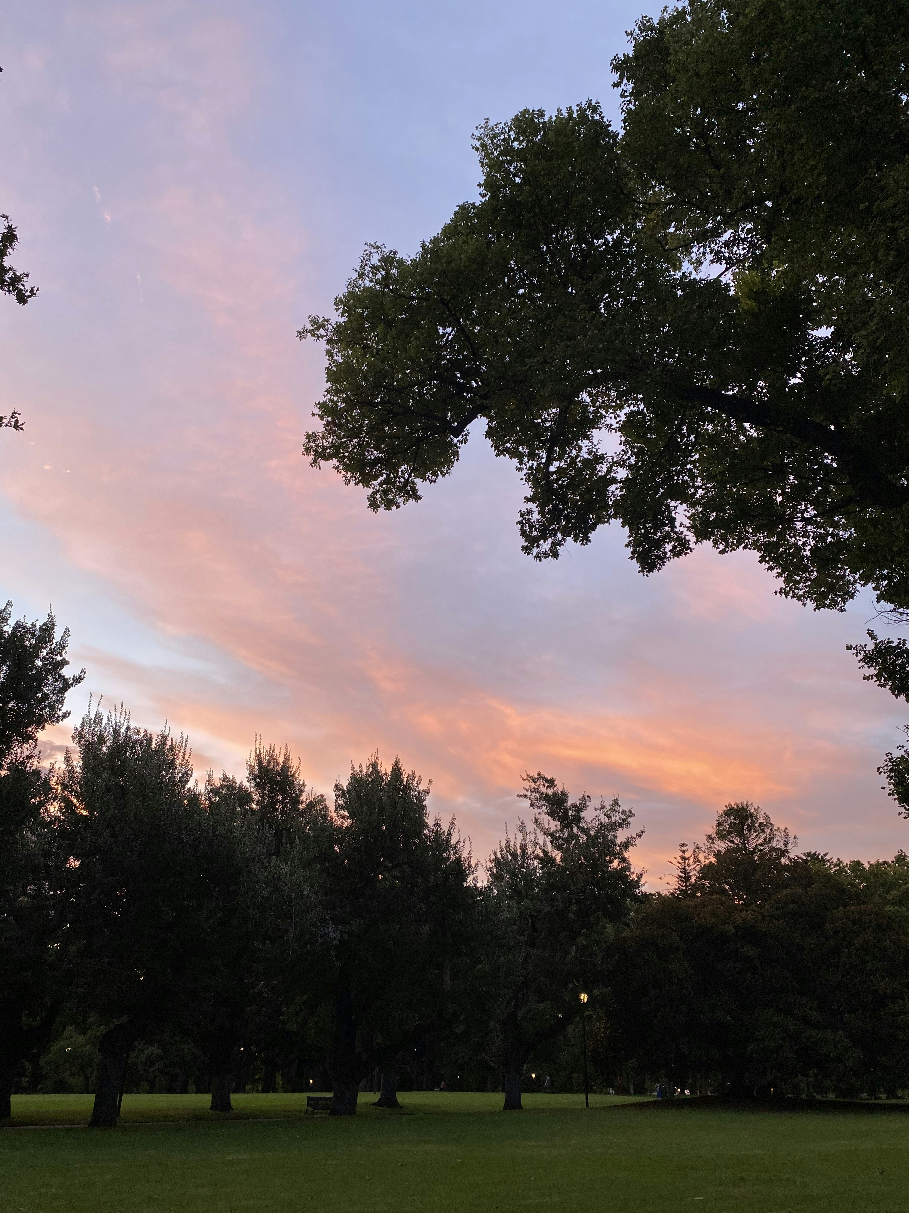 Go to Mariko Akagi's profile