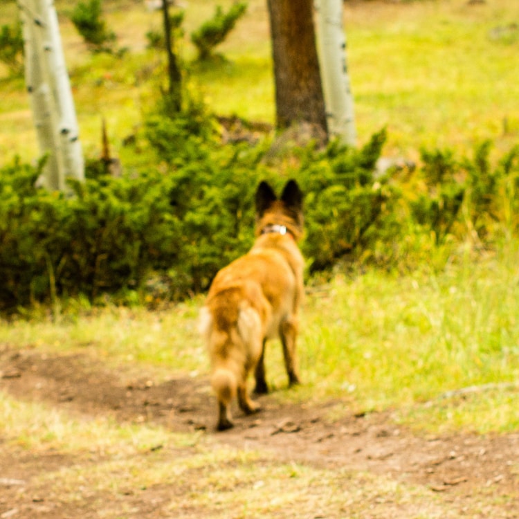 Go to Bella's profile