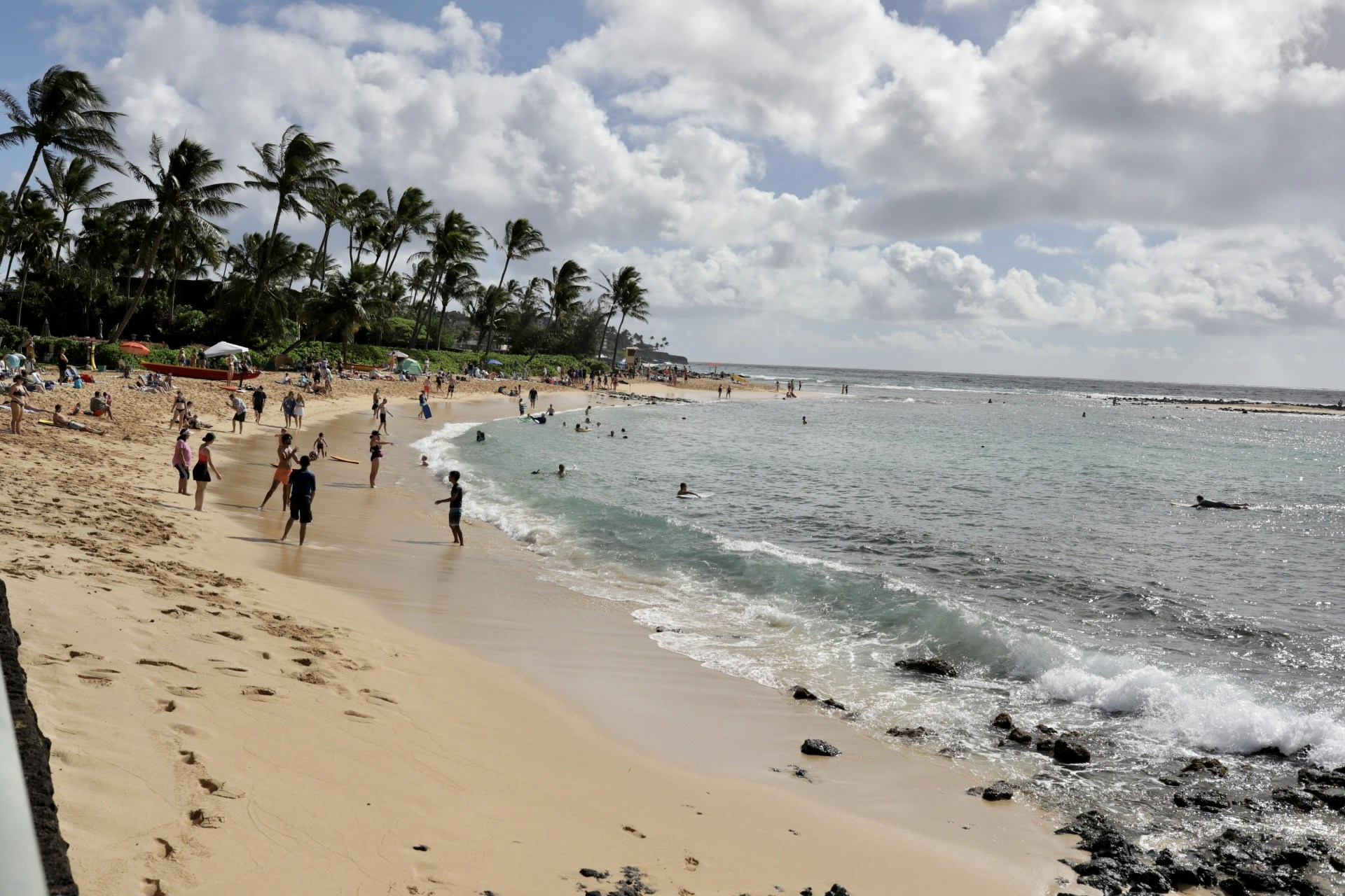 Go to Ali Ani's profile