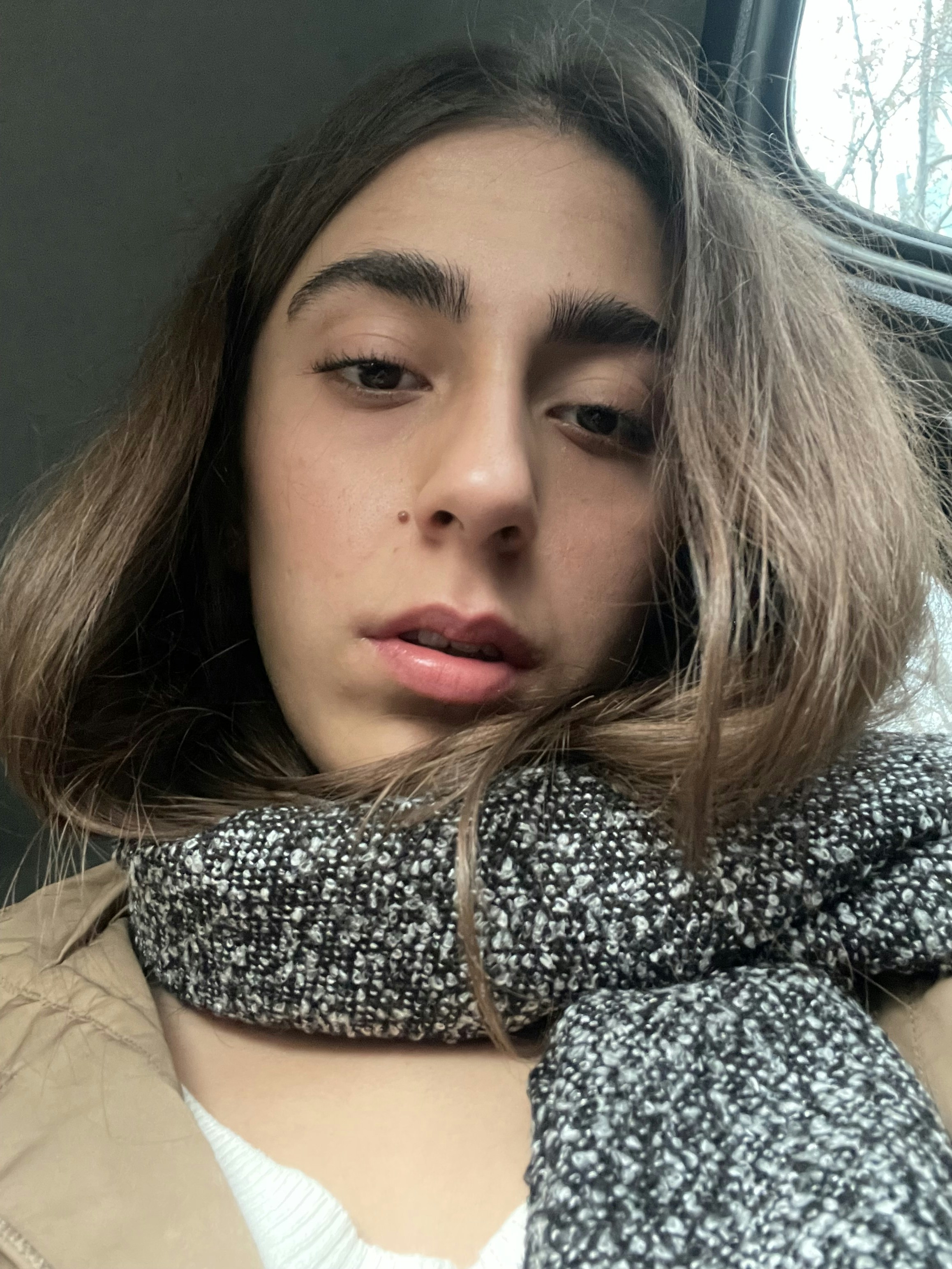 Accéder au profil de Sara Rezaie