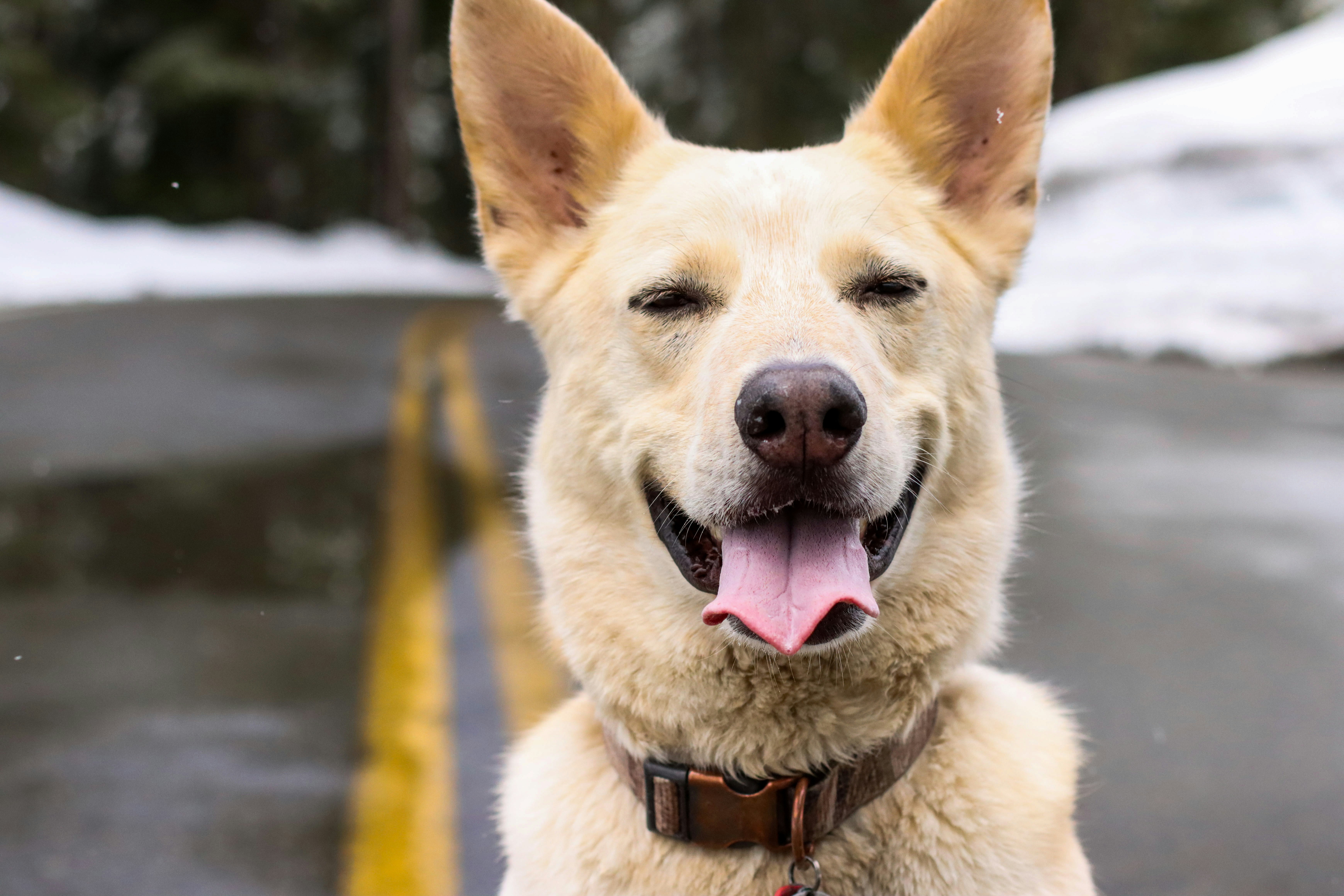 Go to Michael G's profile