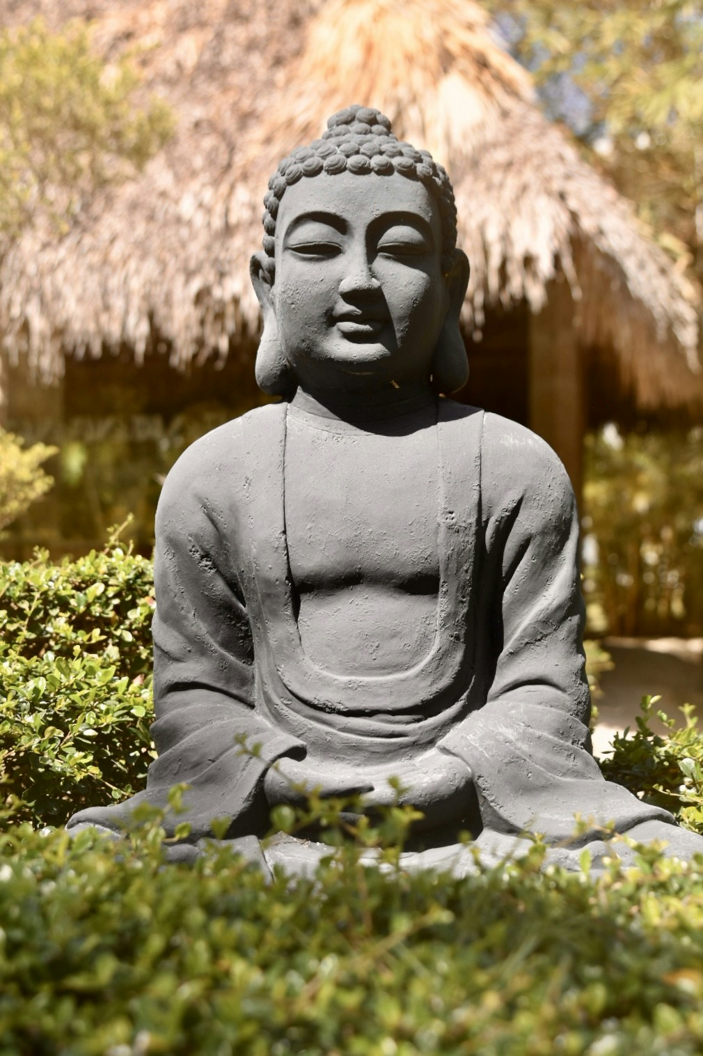 Ve al perfil de James Ertl