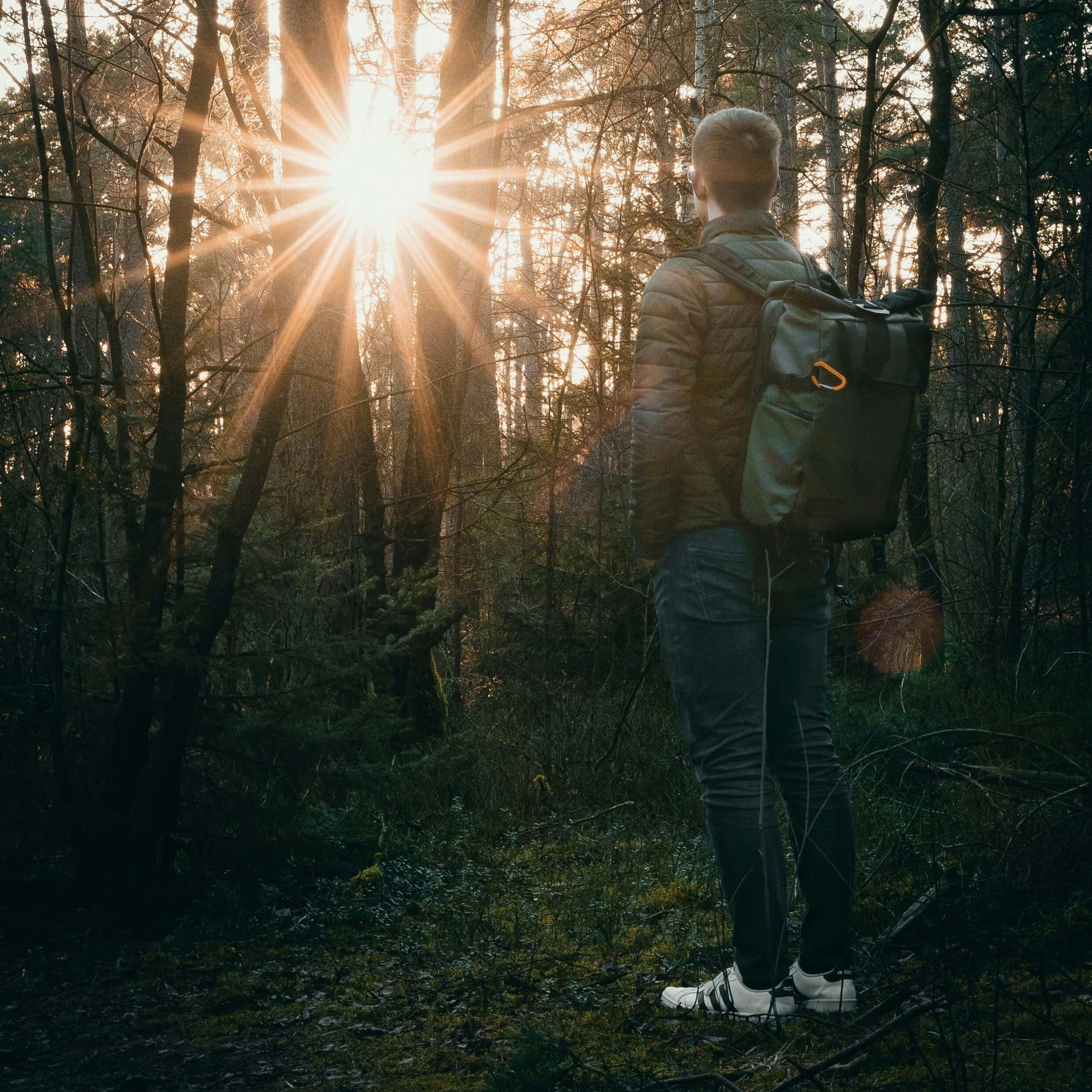 Go to Viktor Mischke's profile