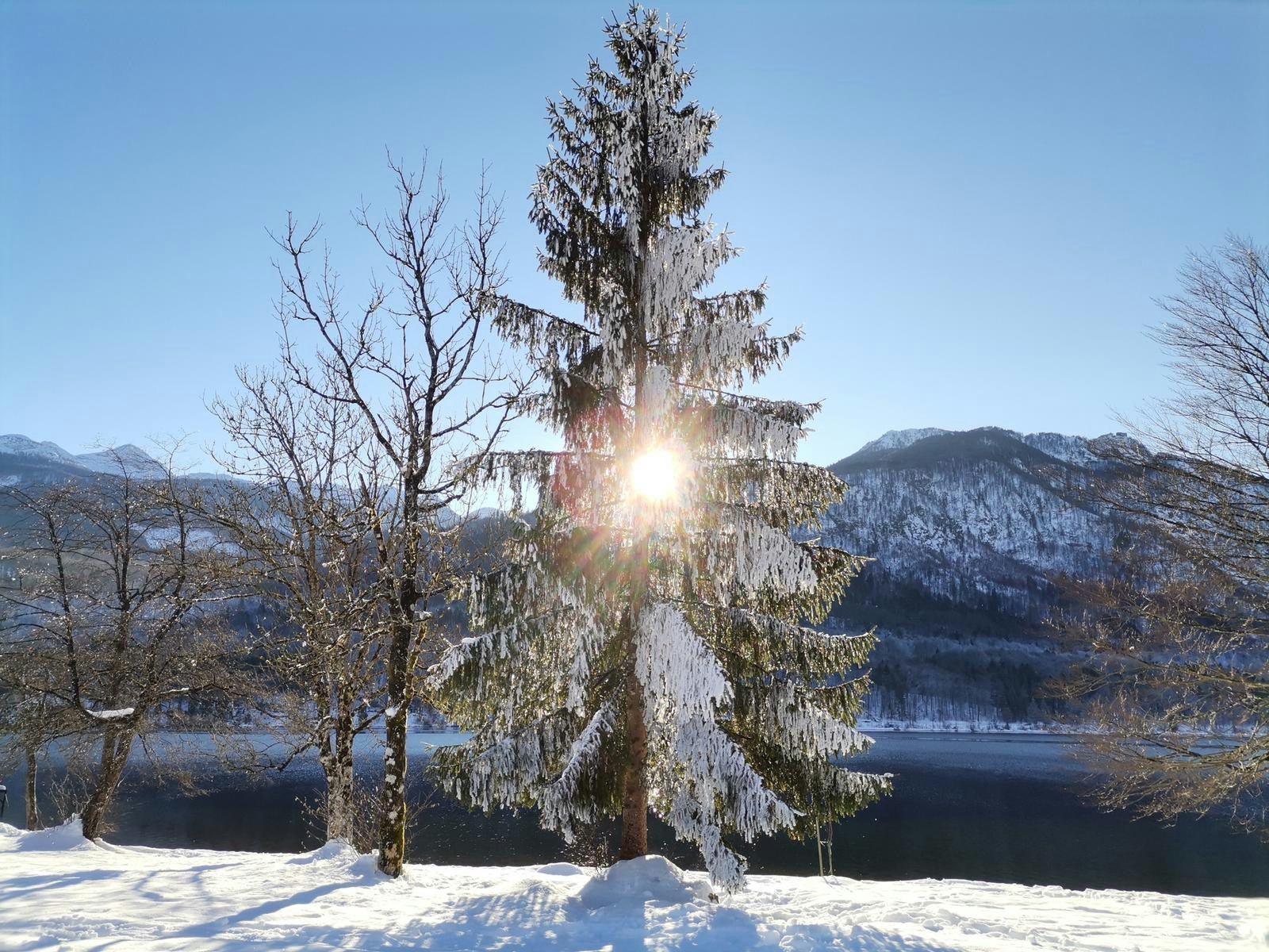 Avatar of user World of Magic