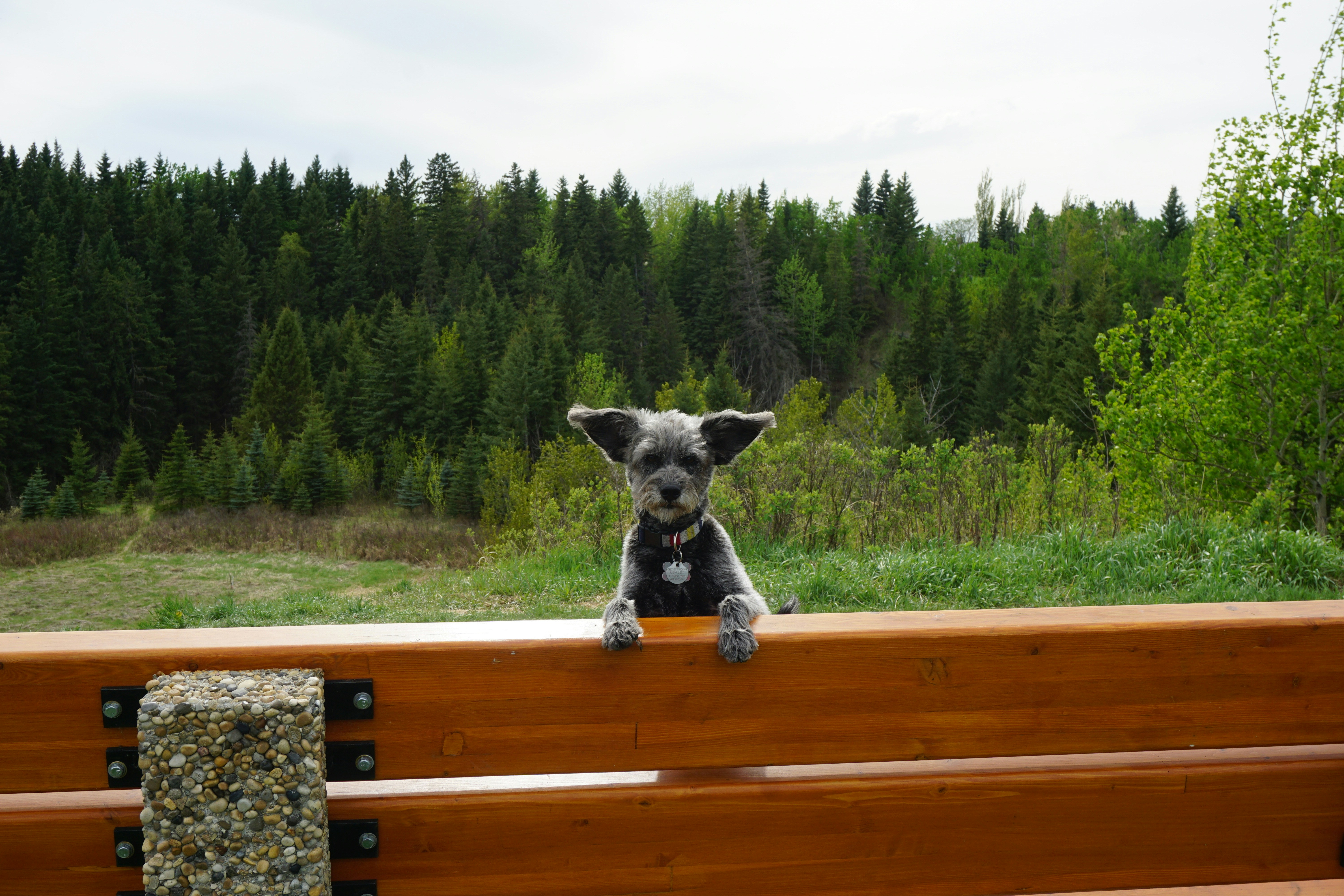 Go to Abby Tait's profile