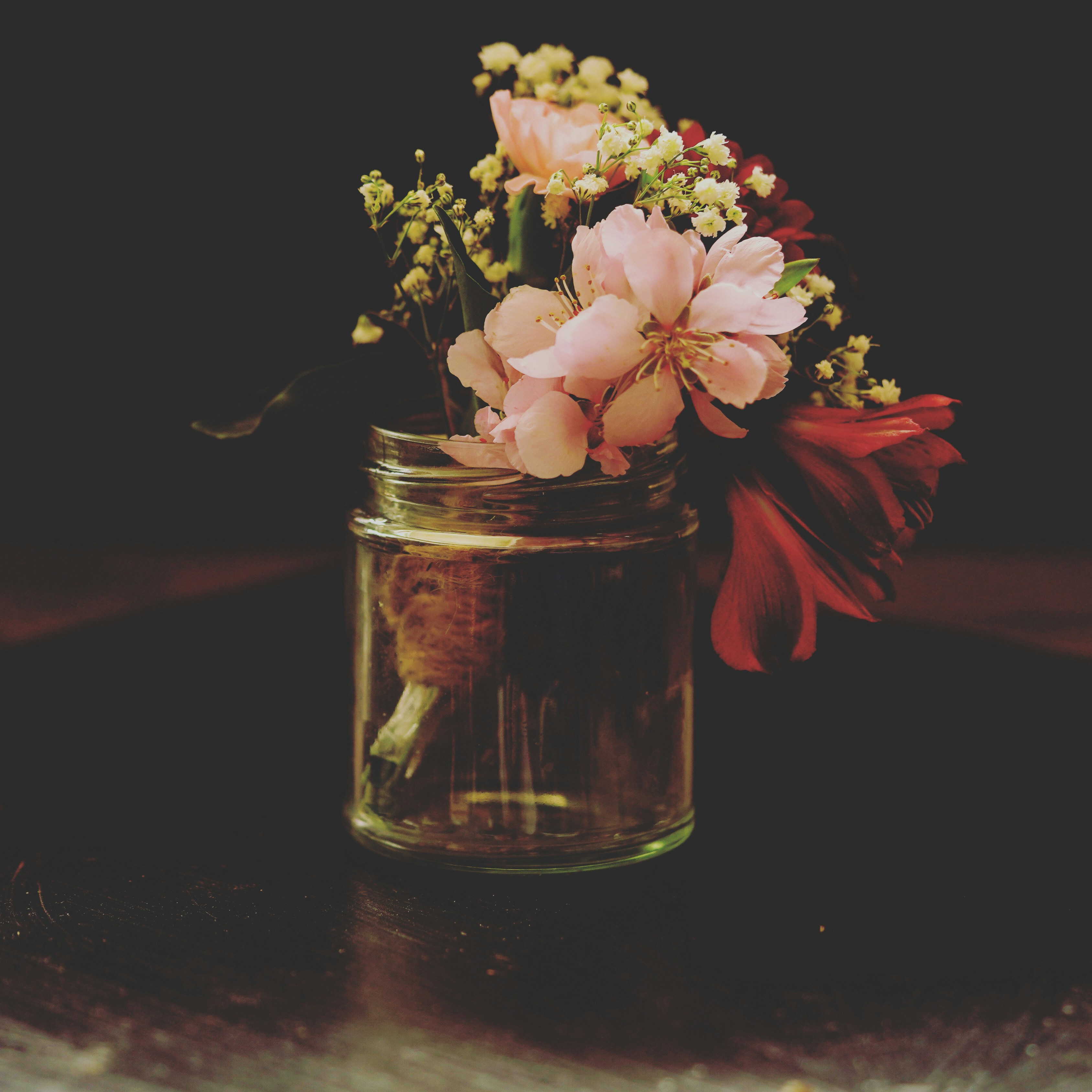 Go to Cashmere Satin's profile