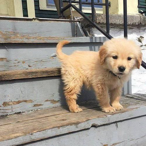 Go to SK HD's profile