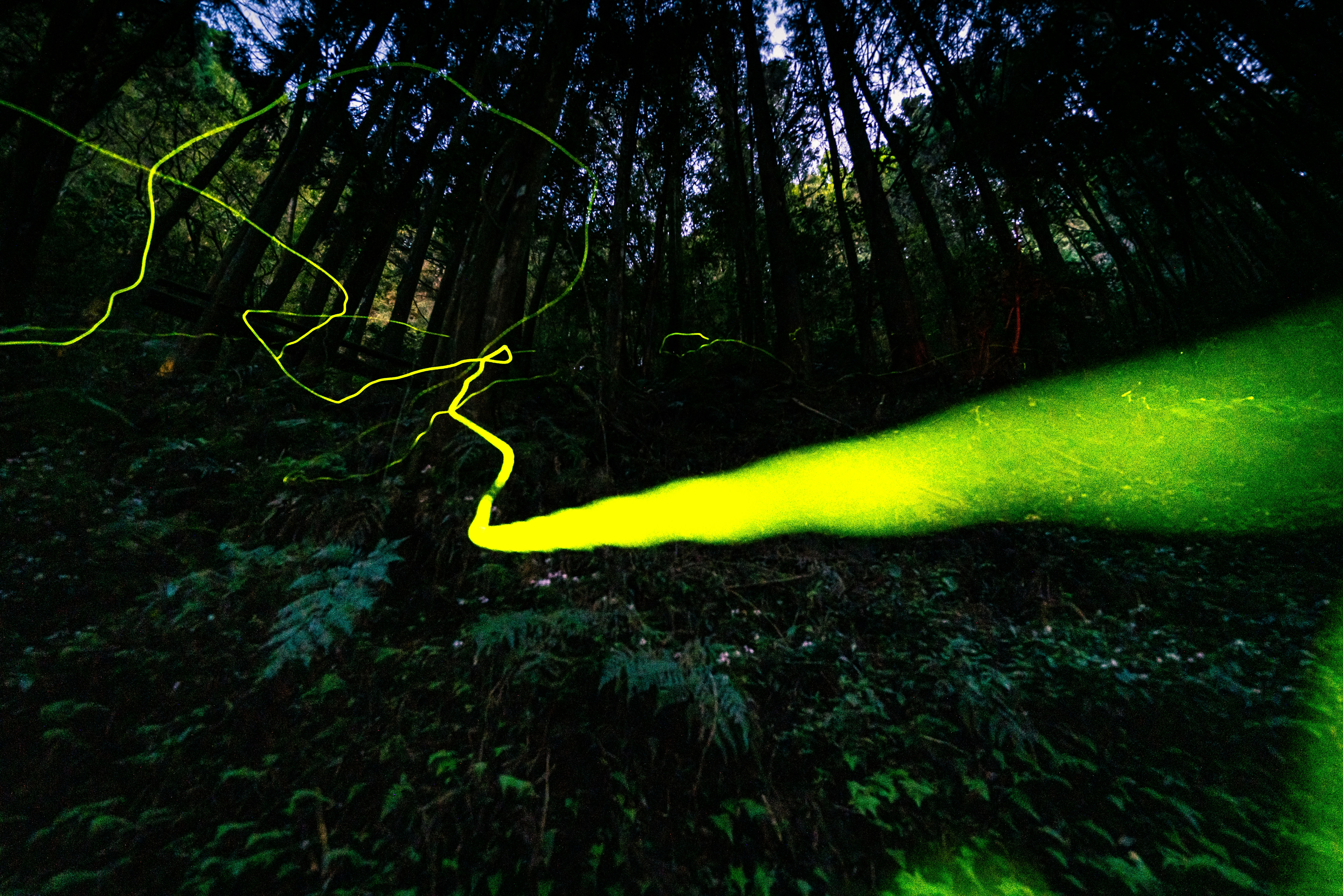 Go to Robin Li's profile