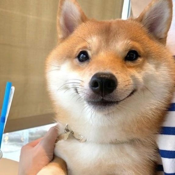 Go to Fredy Jacob's profile