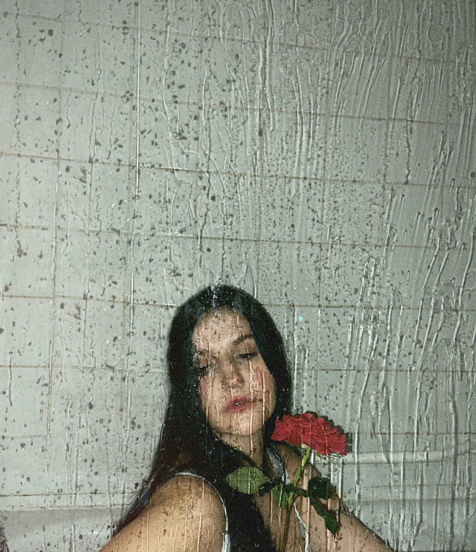 Ir para o perfil de Giovanna Knollseisen